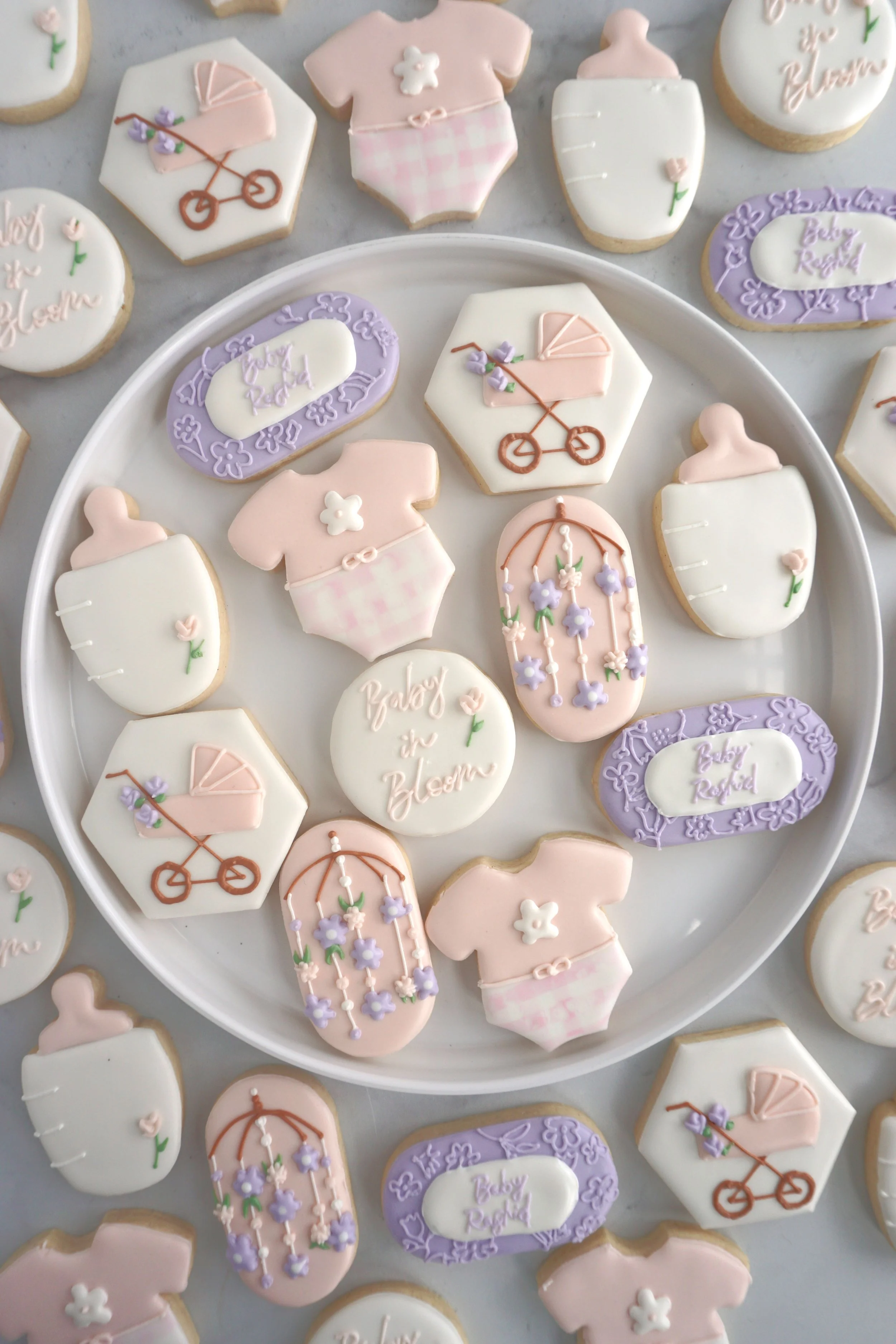 Baby in Bloom Minis.jpg