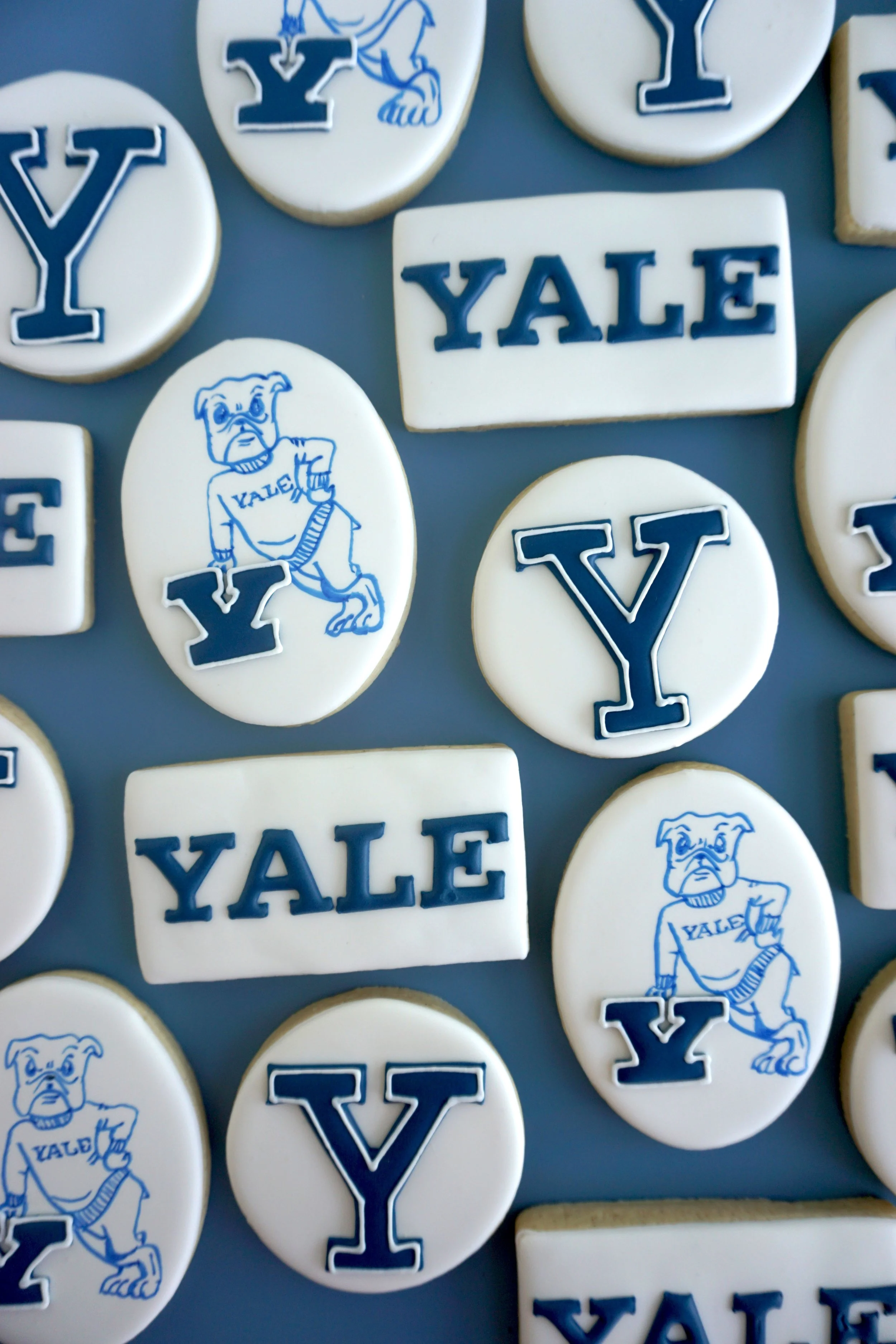 Yale Logos 3.jpg