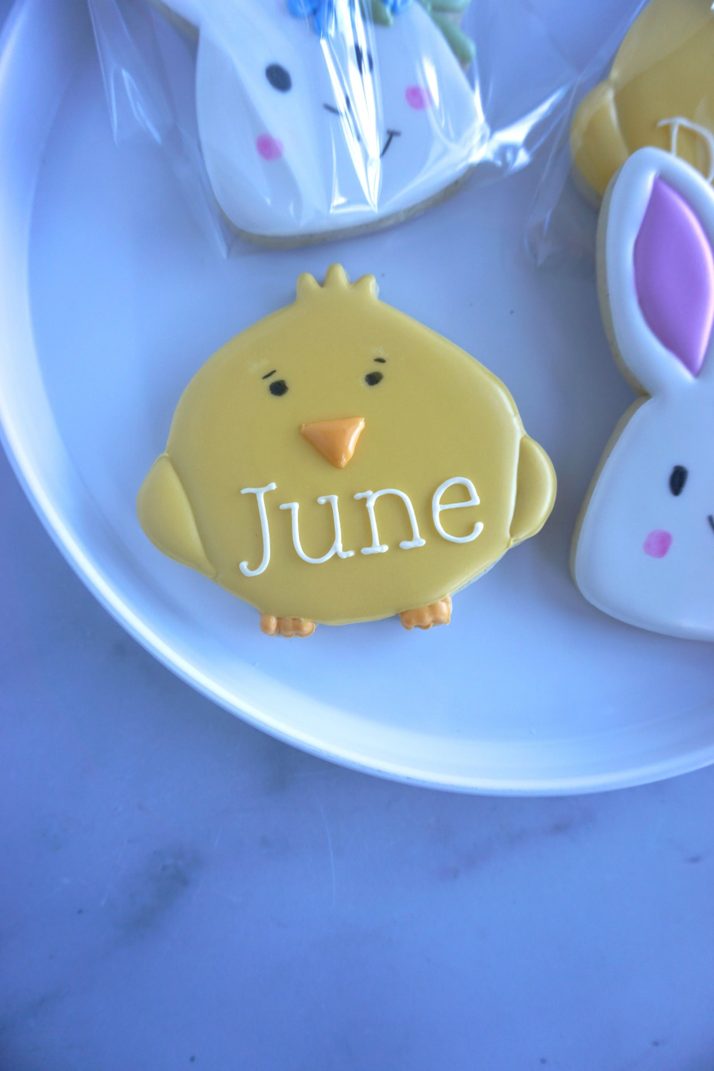 Personalized Baby Chick
