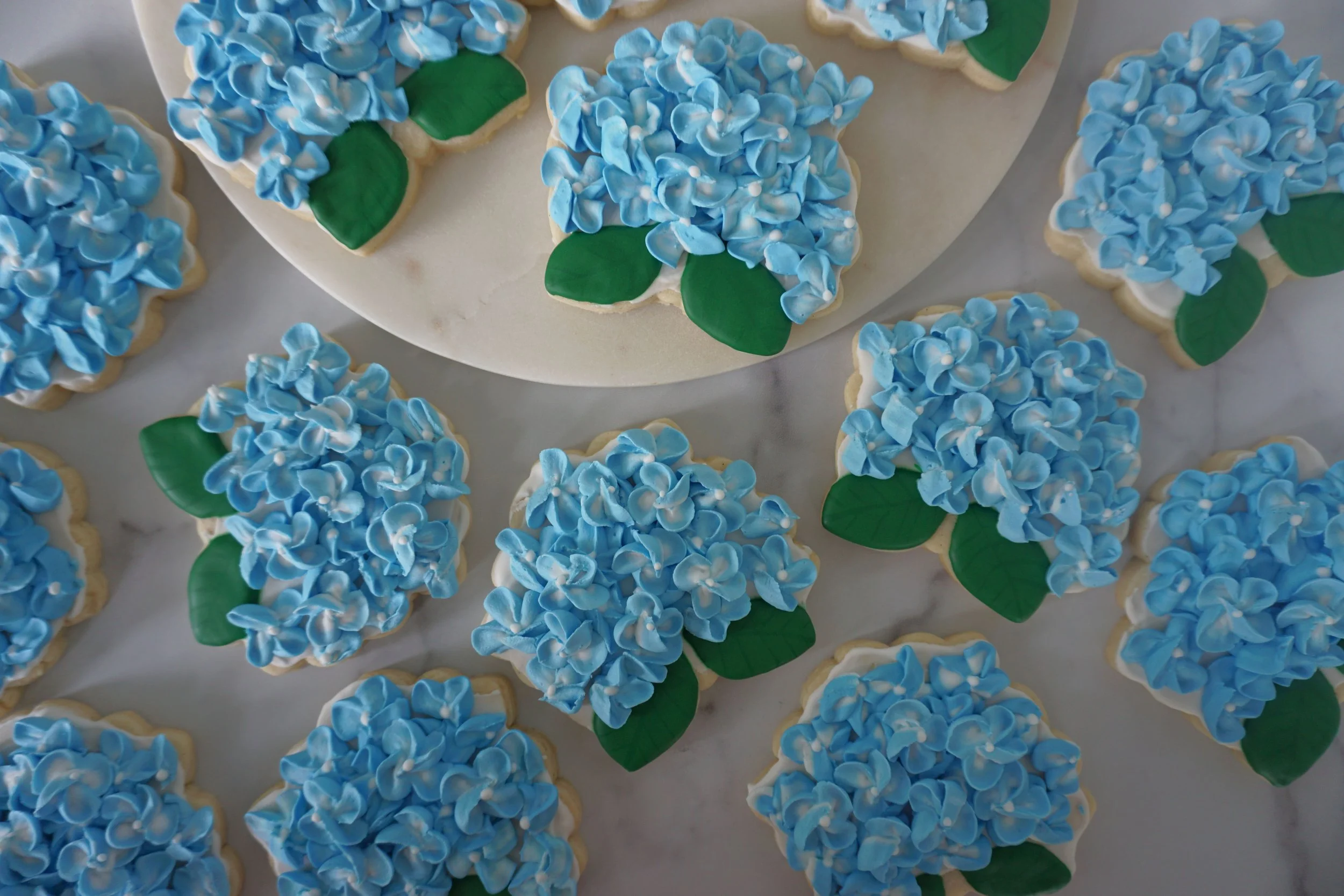 Blue Hydrangeas (2).jpg