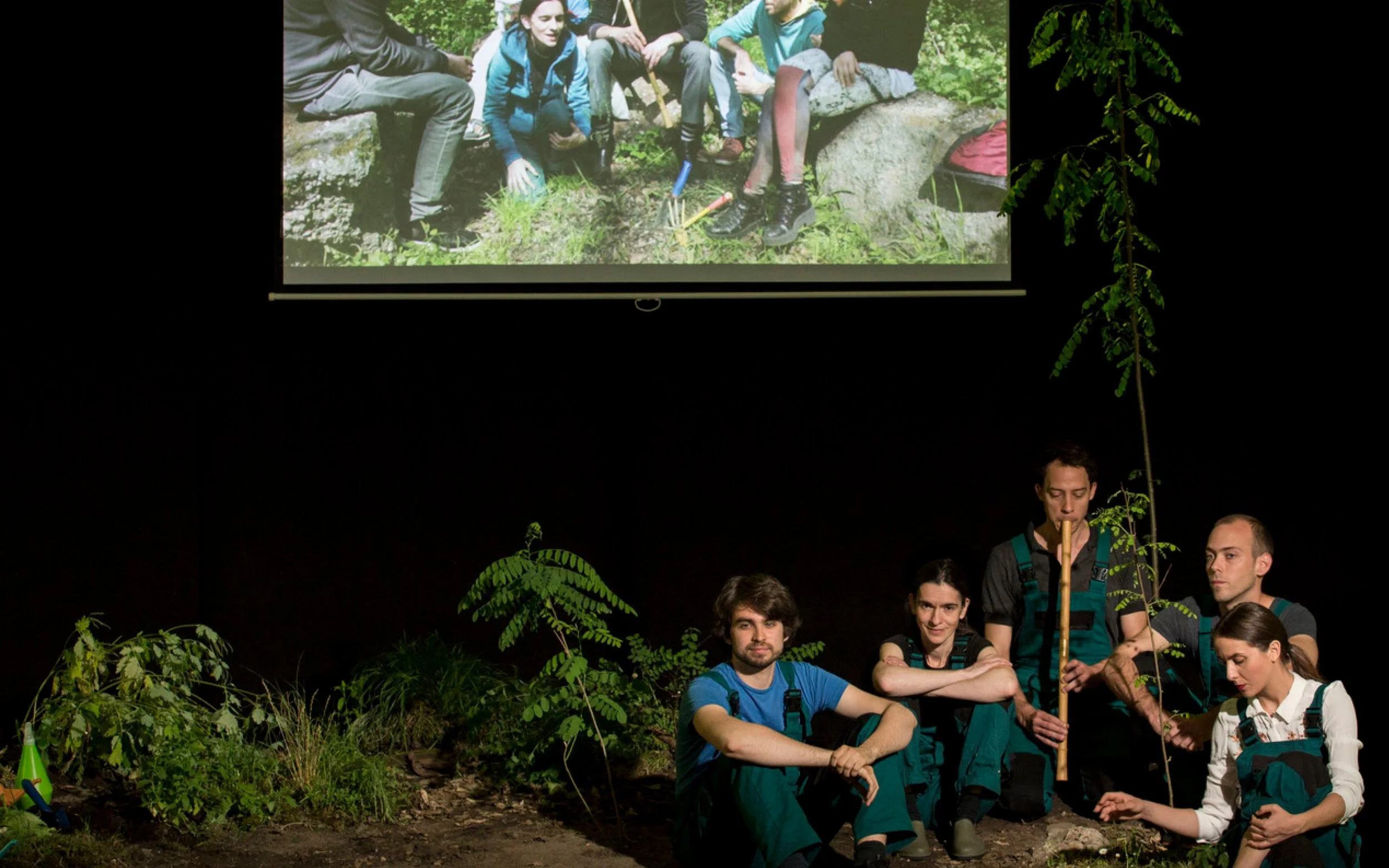 Hungarian Acacia (Hungary) CANCELED!