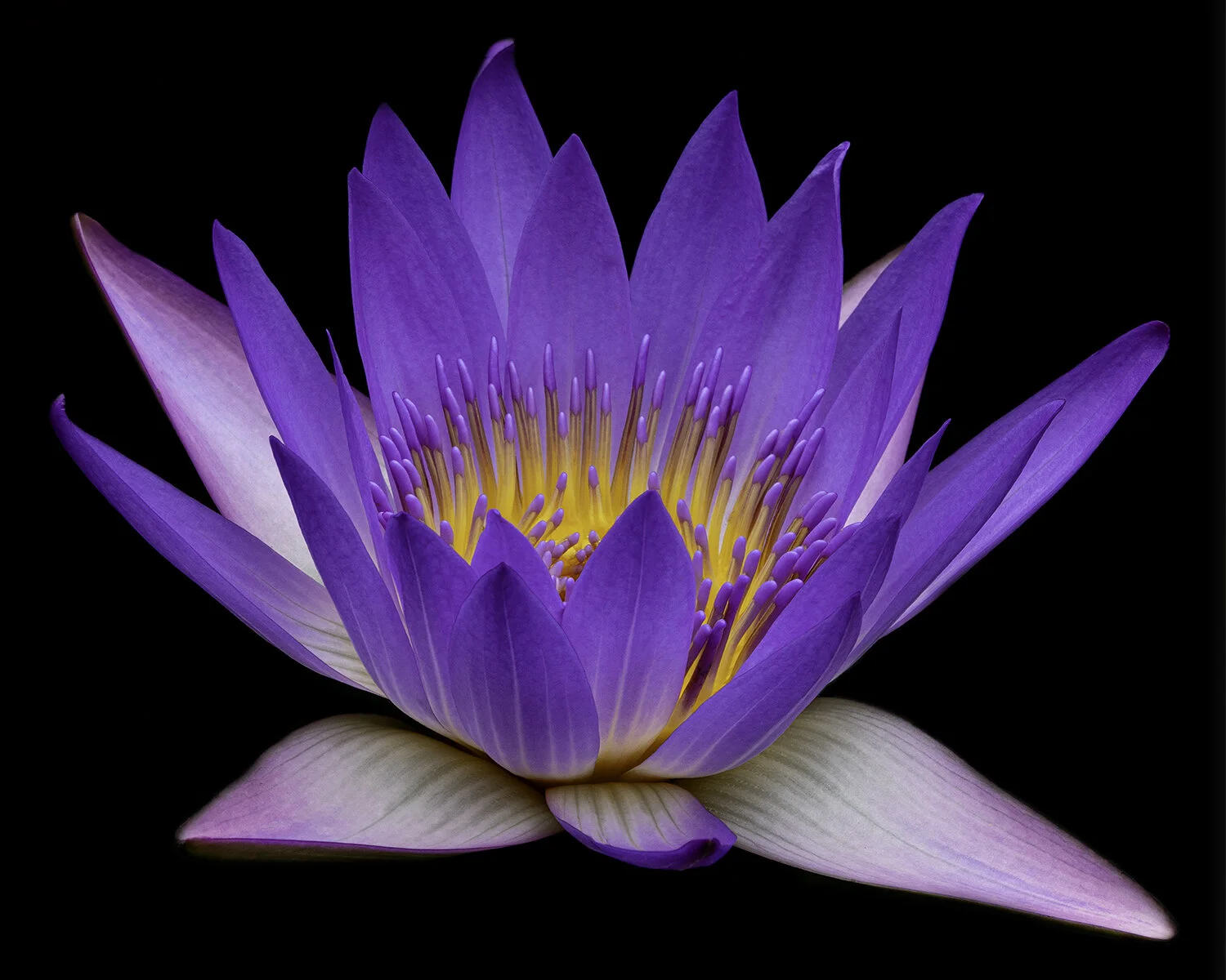 Radiance