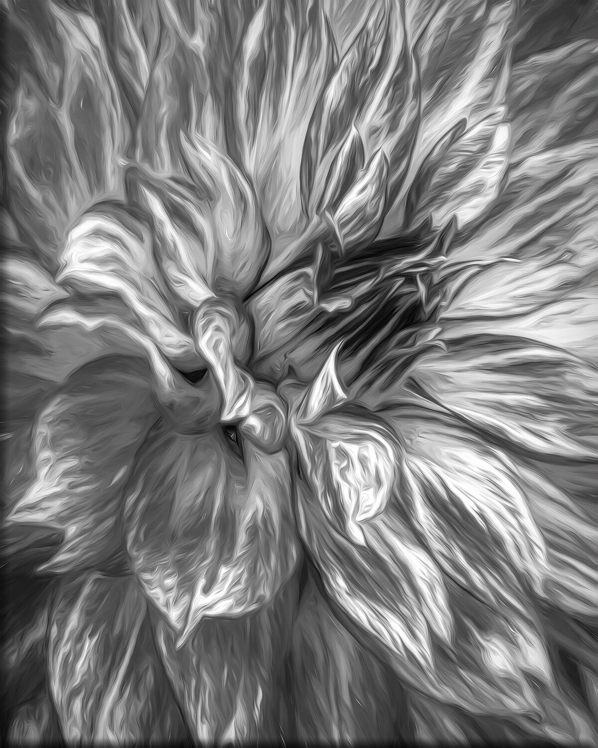 Dahlia 1 (Black and White)