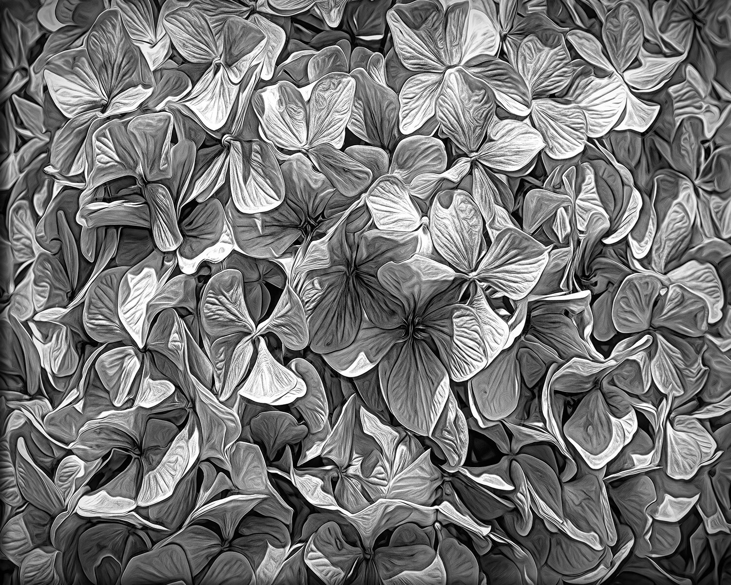 Bushel (Black and White)