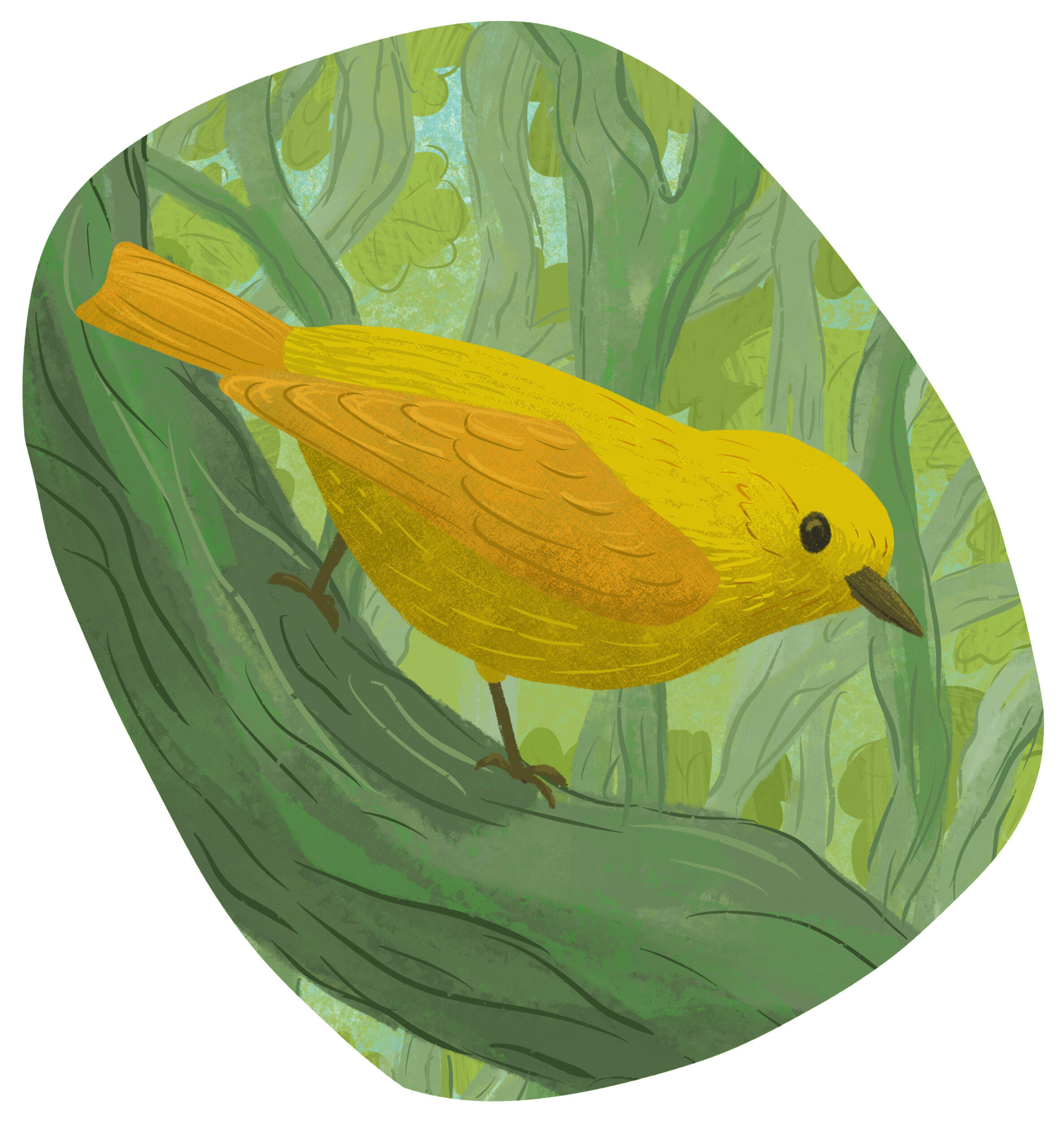 yellow bird 4.jpeg