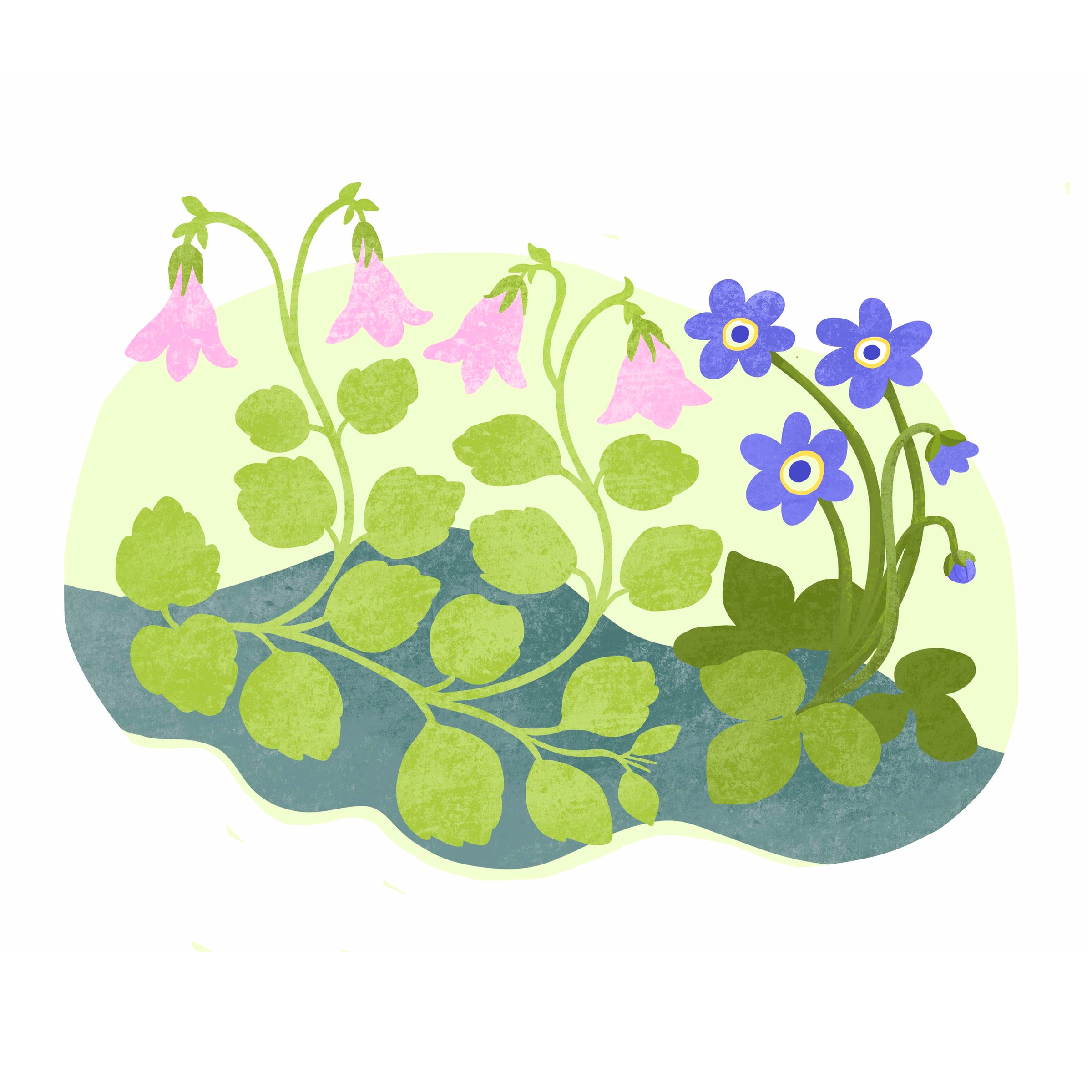 twin flowers square.jpeg