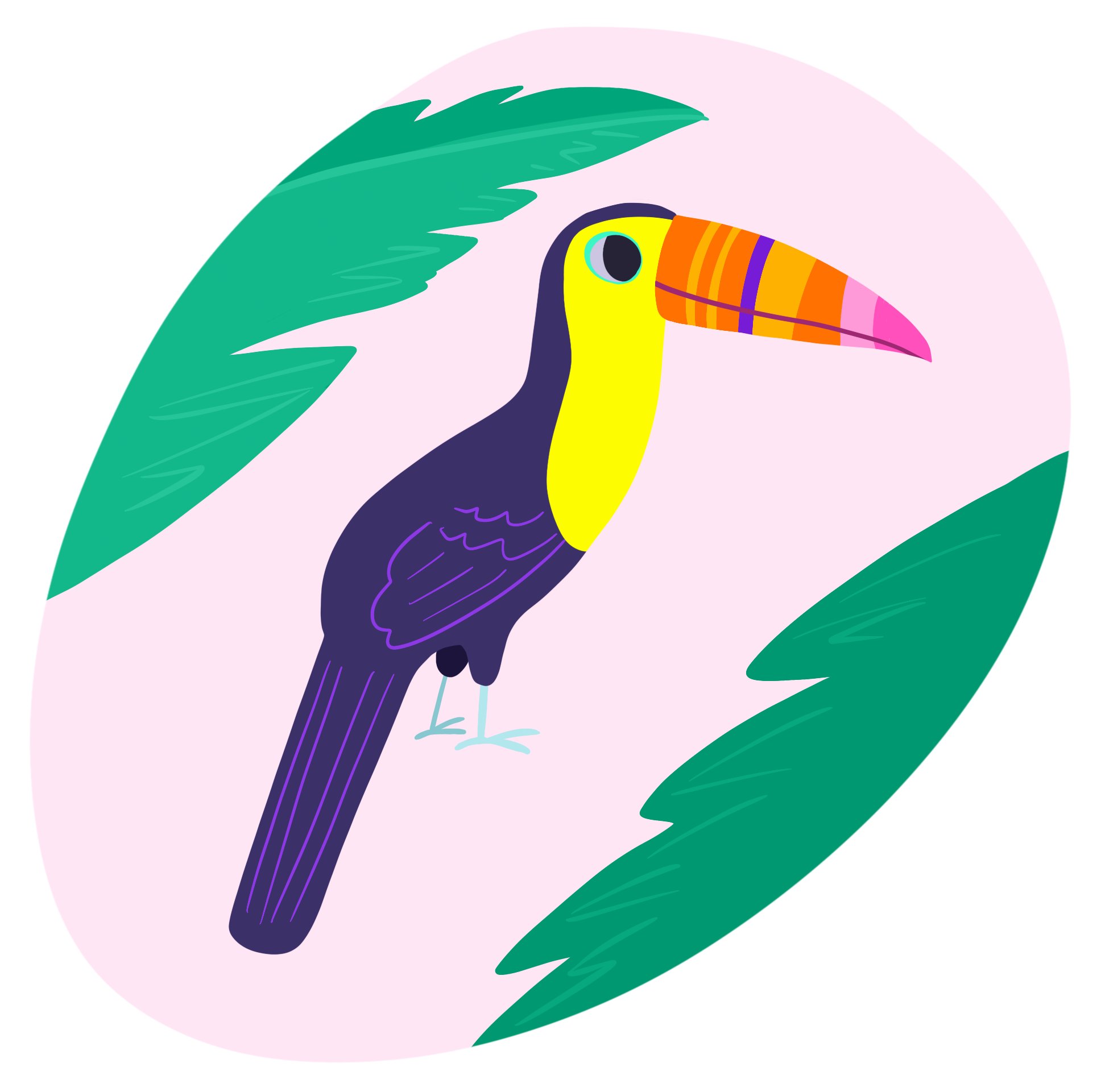 toucan.jpeg