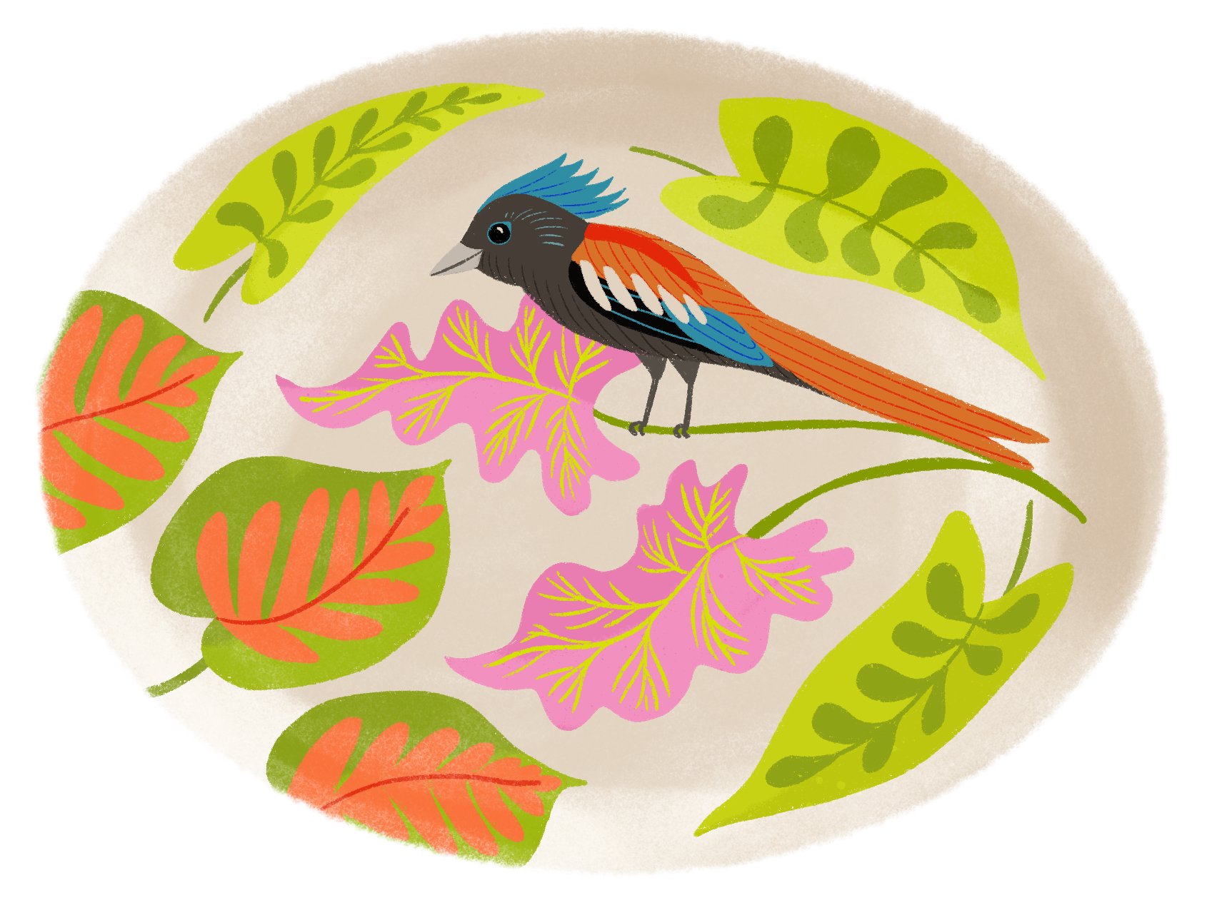 Tropicalia long tailed bird 1.jpeg