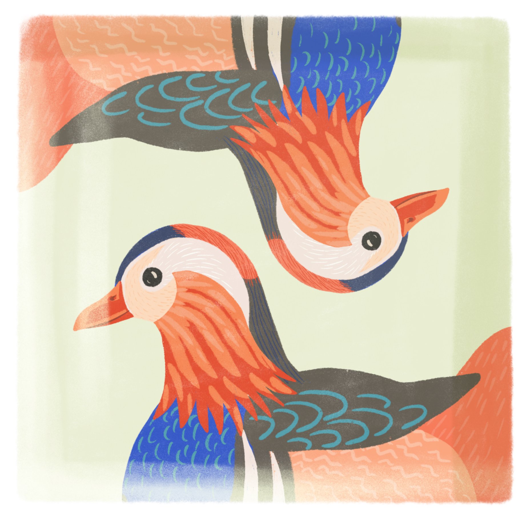 Tropicalia mandarin ducks 1.jpeg