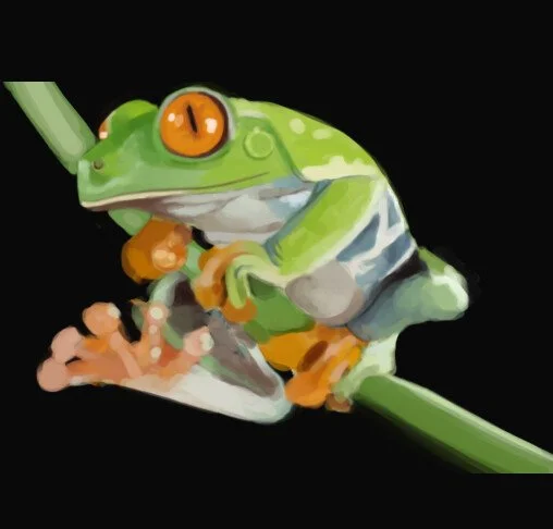 matthew-hobbs-frog.jpg