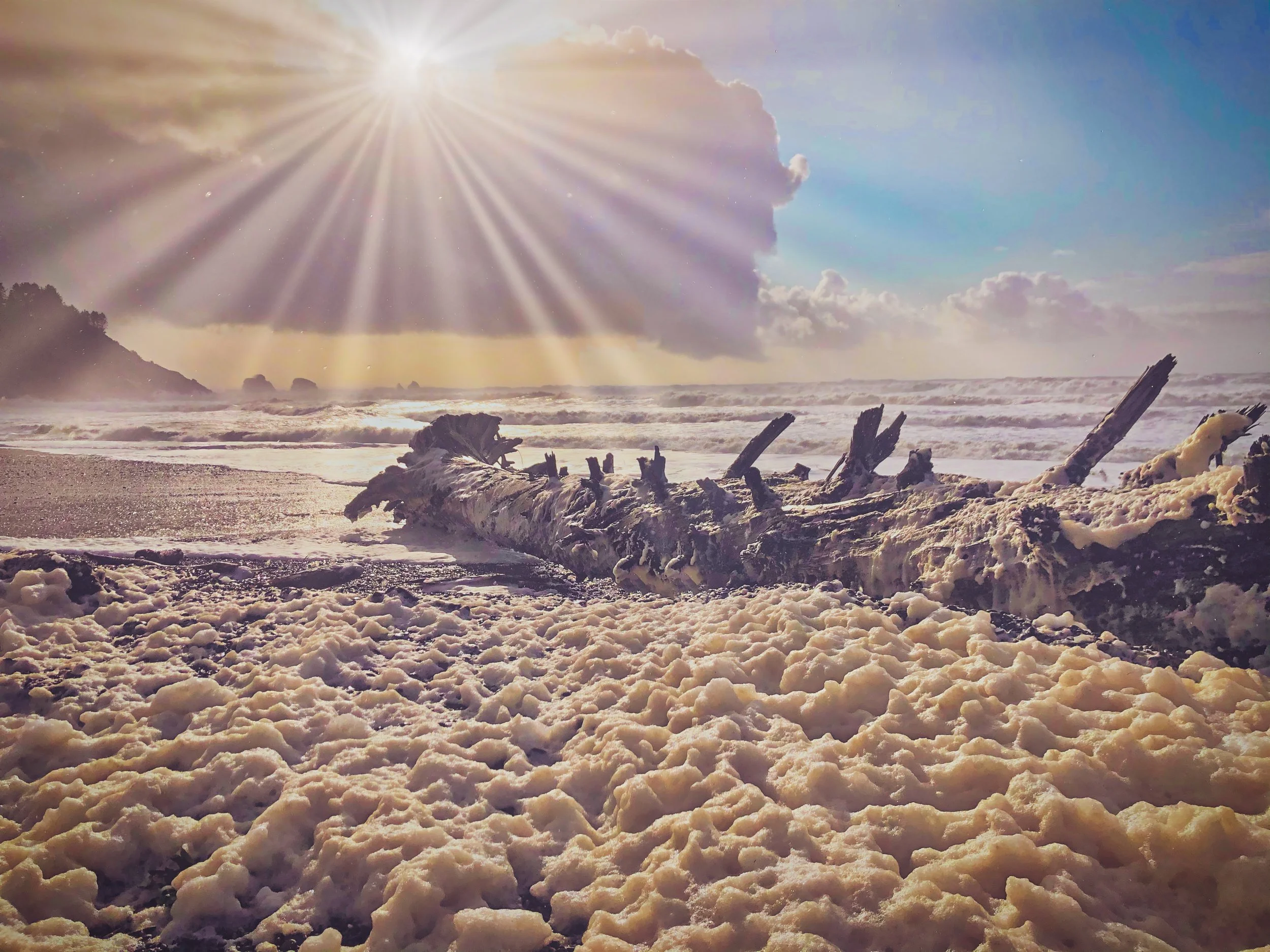 firstbeach LaPush sunshine.jpeg