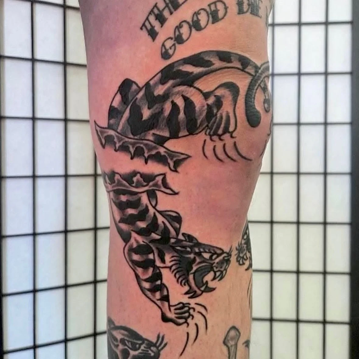 Knee by @gridtattoo_ 

.
.
.
.
#melbourne #tattoo #trad #traditional #boldwillhold #topclasstattooing #topclasstraditional #blackworkerssubmission #blacktoptattooing #blacktattoos #radtrad #radtattoo #traditionaltattoo #blackwork  #traditionalartist 