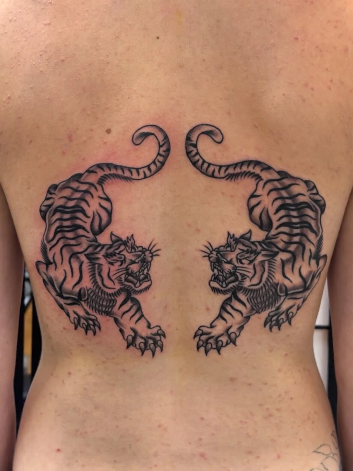 Work by @indigiblintattoo 

.
.
.
.
#melbourne #tattoo #traditionaltattoo #blackwork  #tattoos