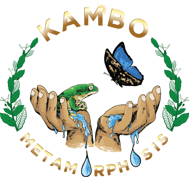 Kambo Metamorphosis