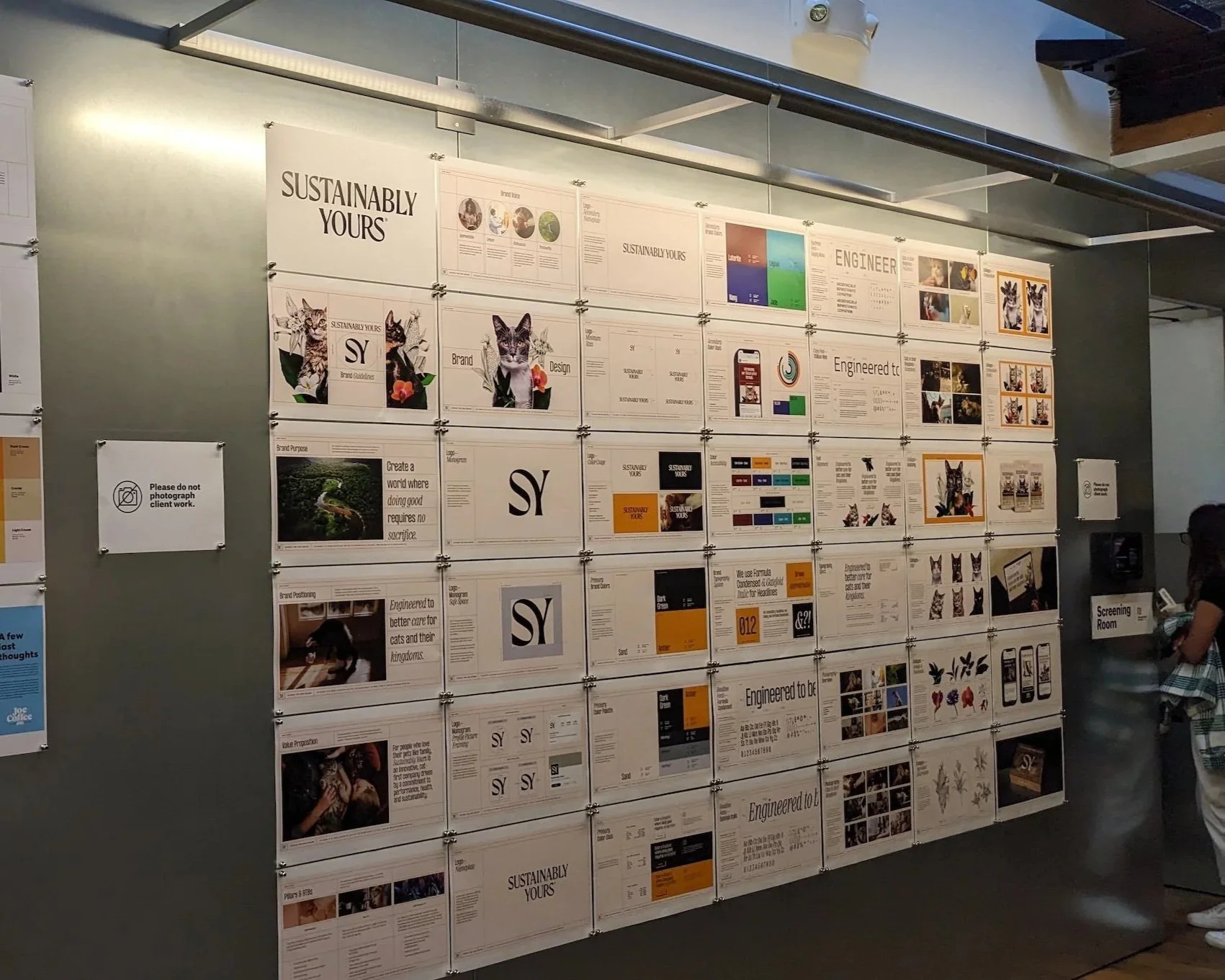 Wall inside the Godfrey Dadich Partners studio showing pinned-up brand guidelines and design work for Sustainably Yours, including color palettes, typography specs, layout explorations, and imagery across multiple boards.