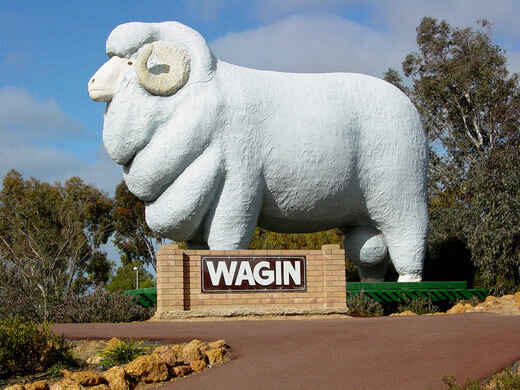 Ram-in-Wagin.jpeg