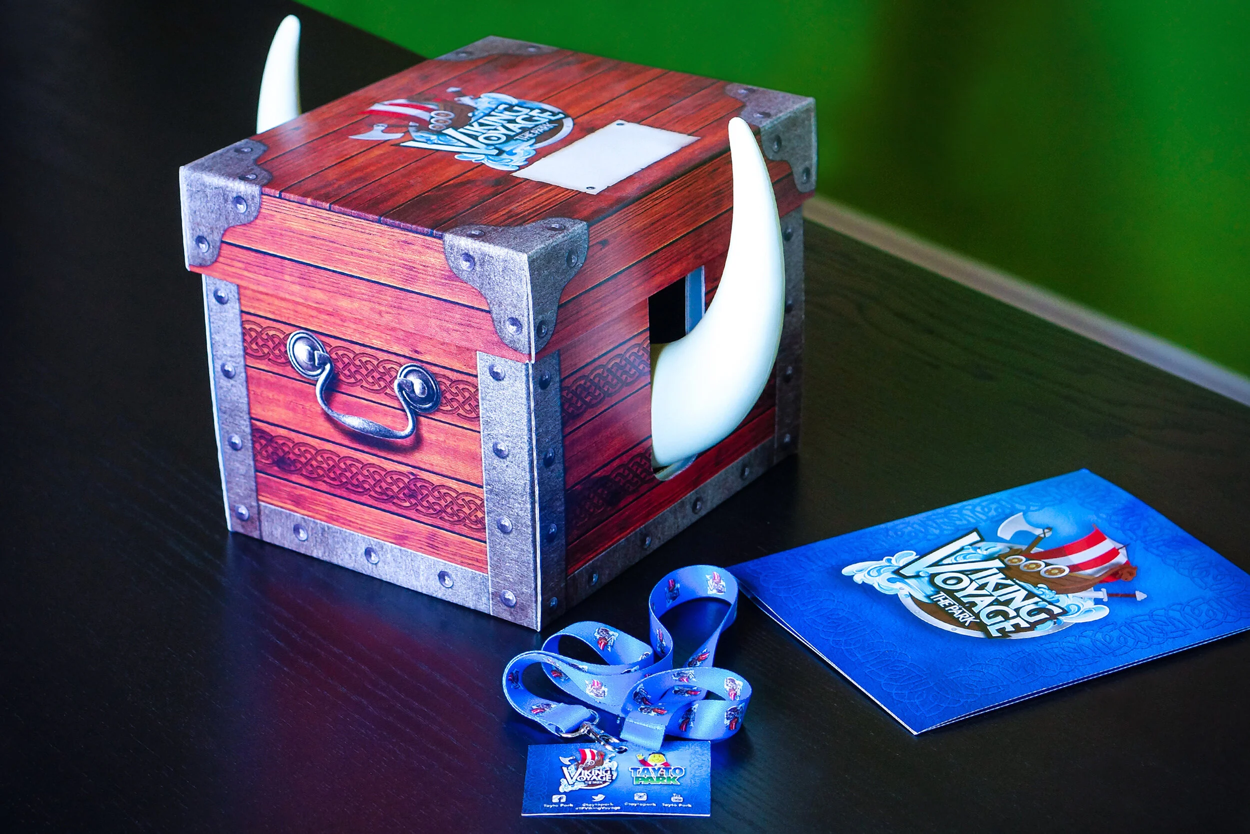 Tayto Park Viking Voyage Promo Design.jpg