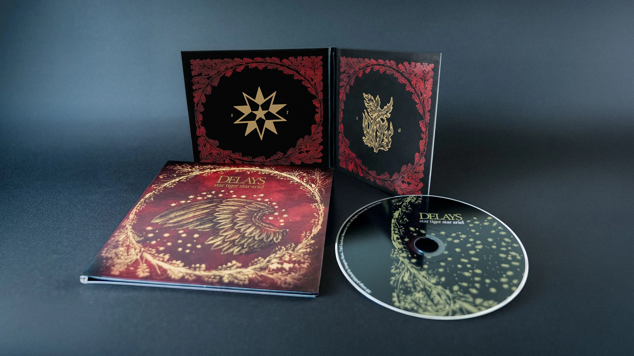 The-Delays-Album-Cover-Design-UK.jpg