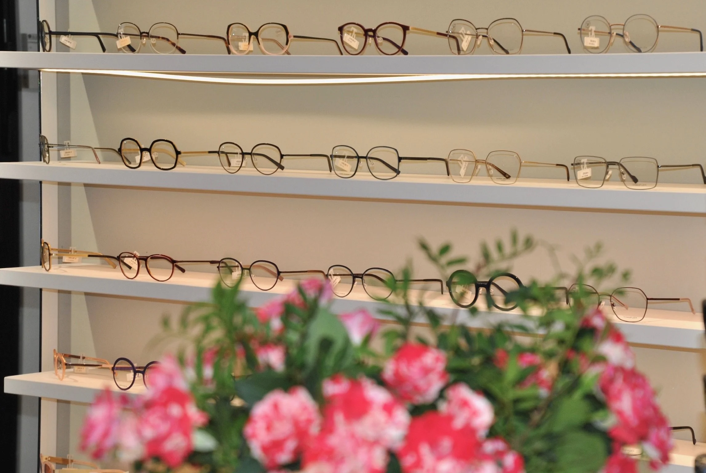 Brillensortiment im Regal