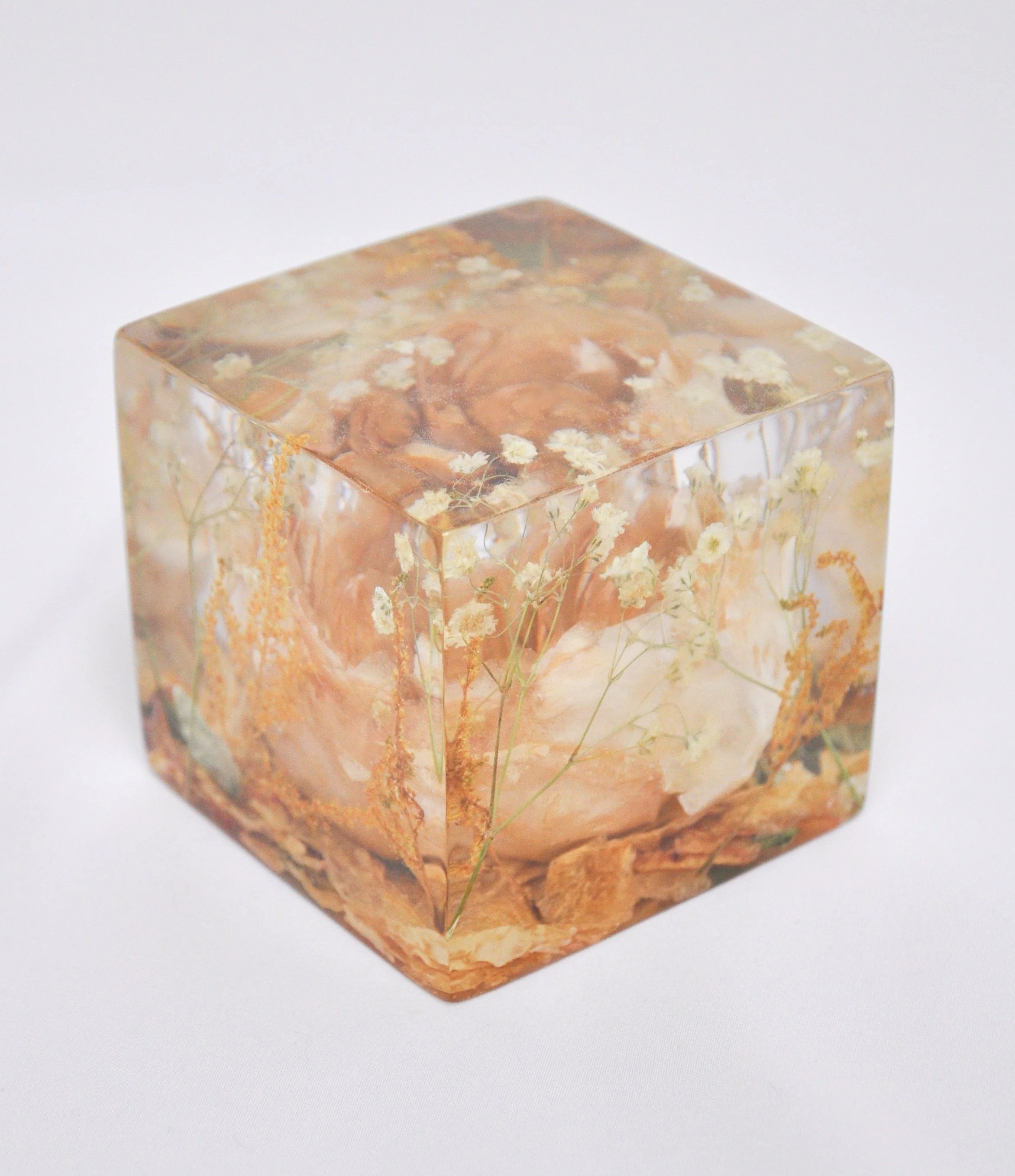 Cube