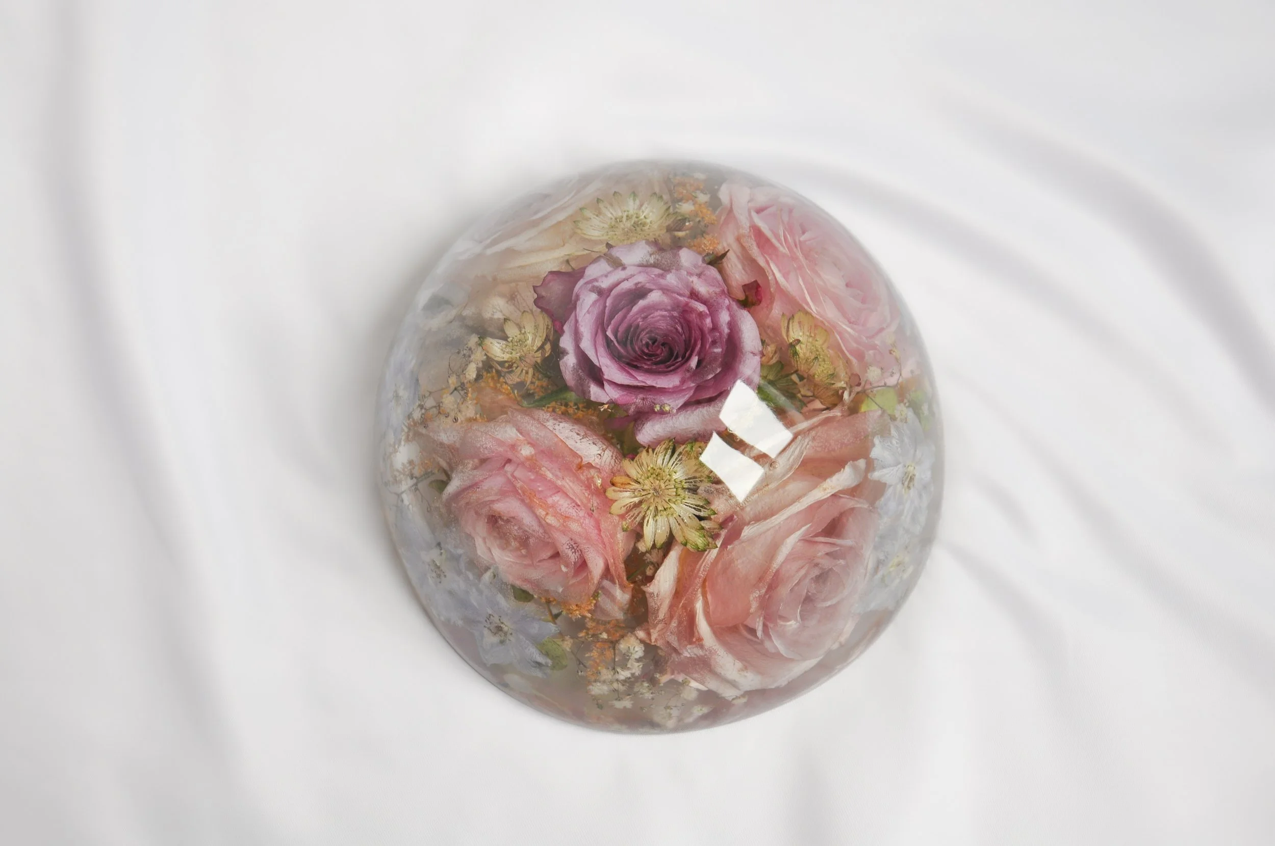 Lucy Did This | Bespoke Art, Hand Made by Lucy Sykes | Seven preserved wedding flower xl resin domes 18cm