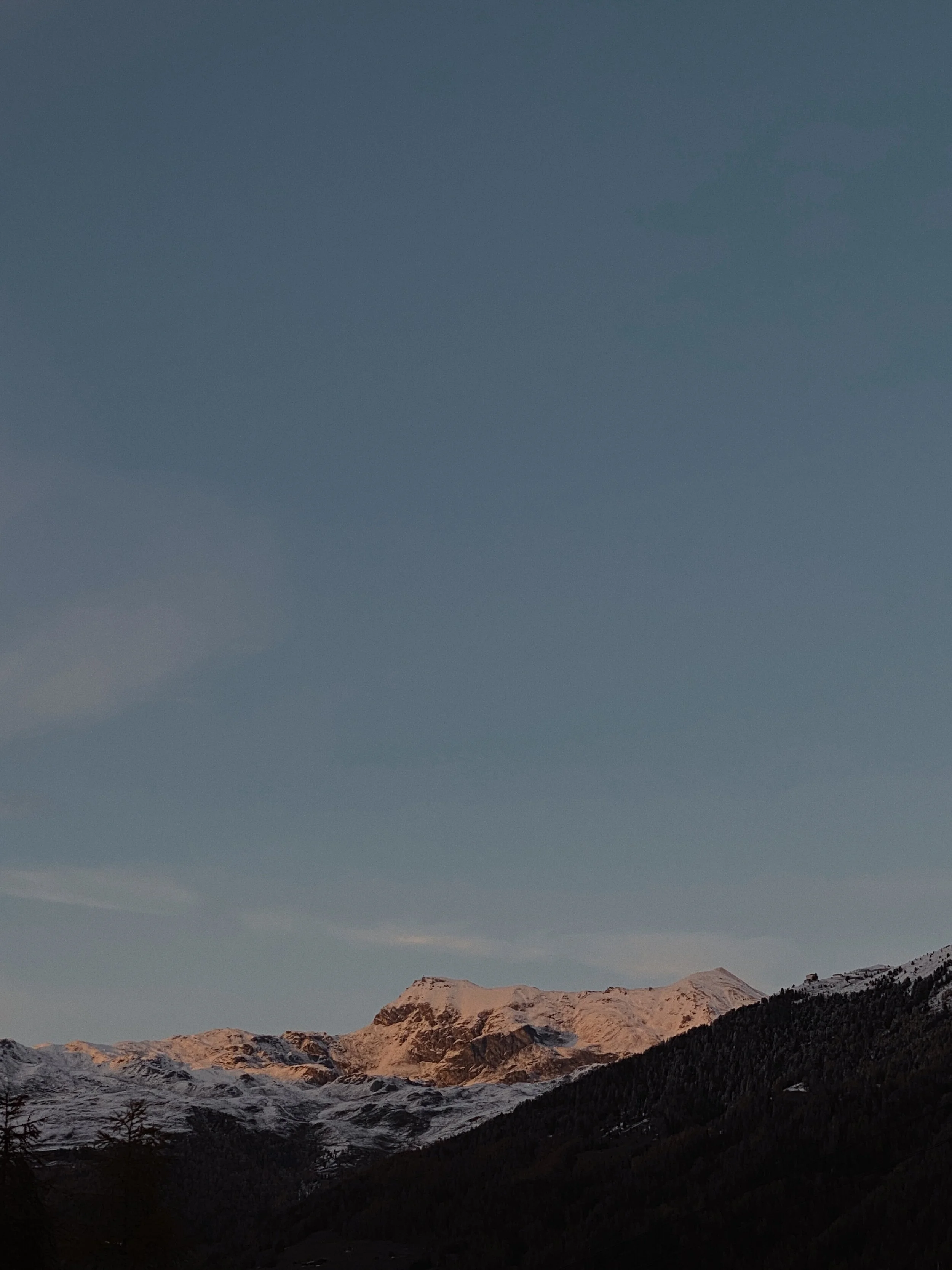 monthly checkin | October - November 2020