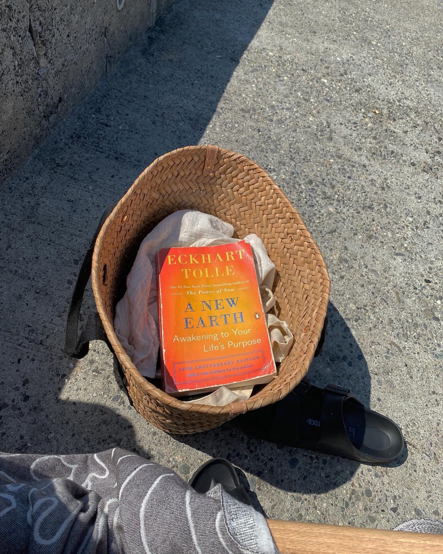 Life Update &amp; Summer Books 2021