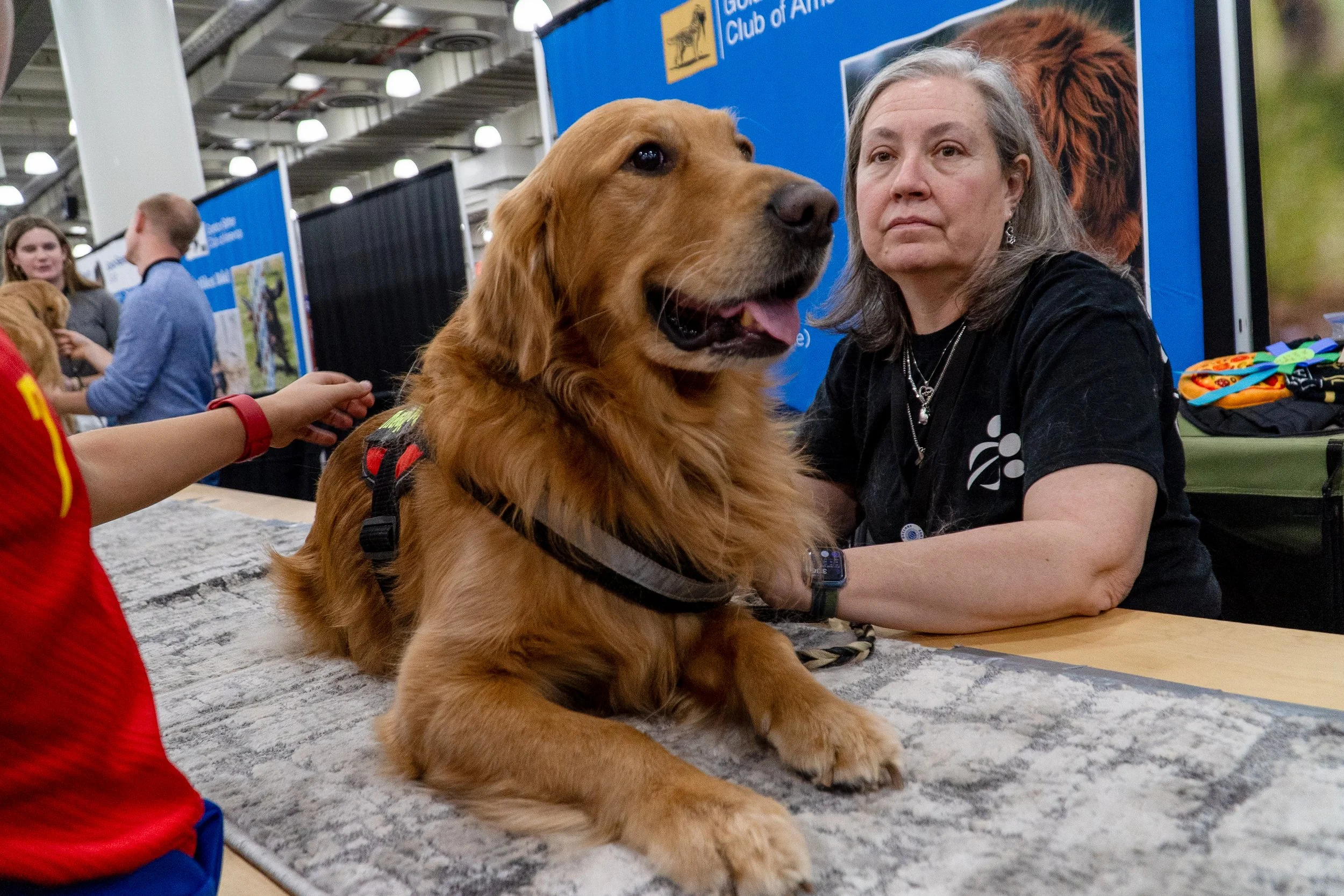 _AKC2581.jpg