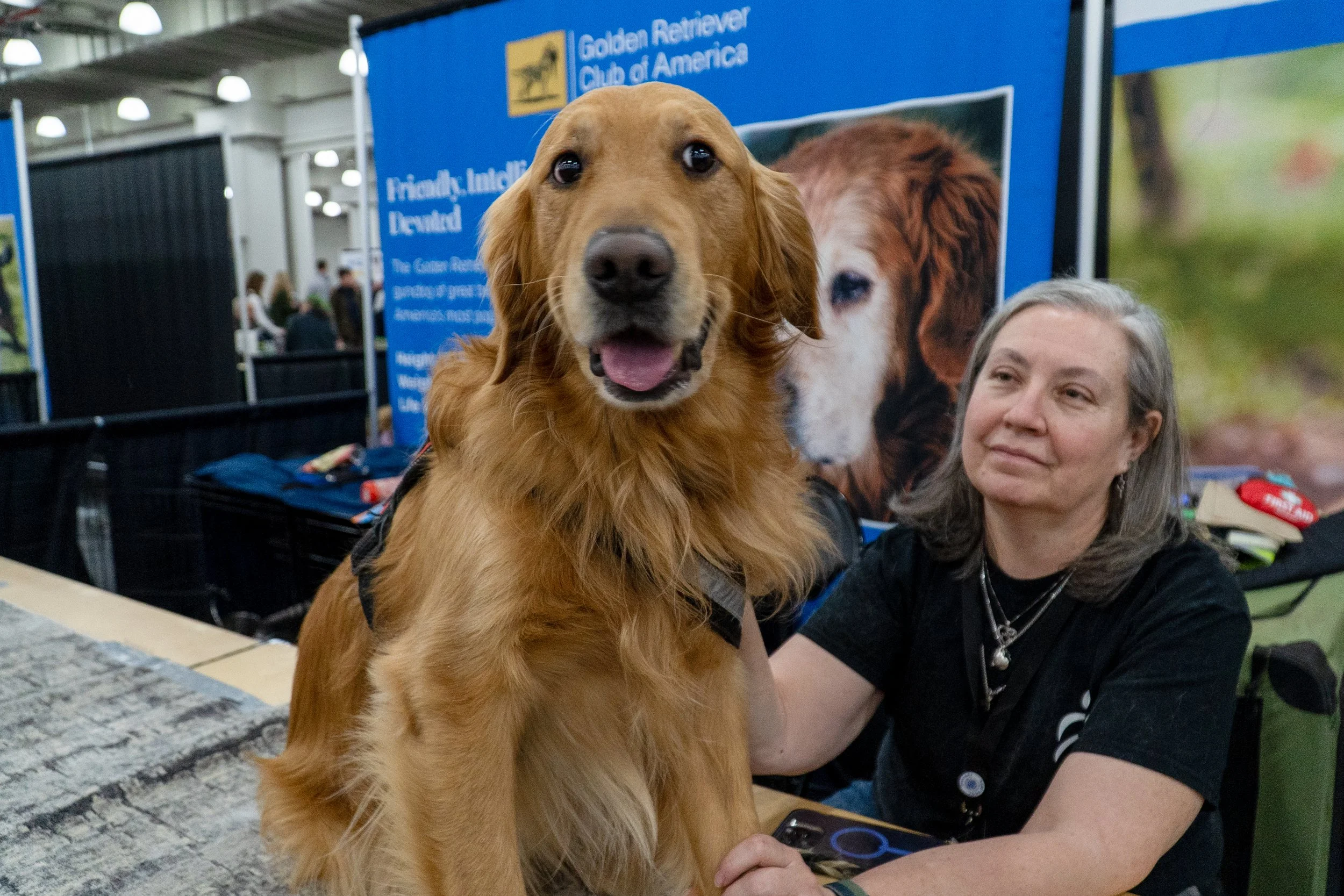 _AKC2586.jpg