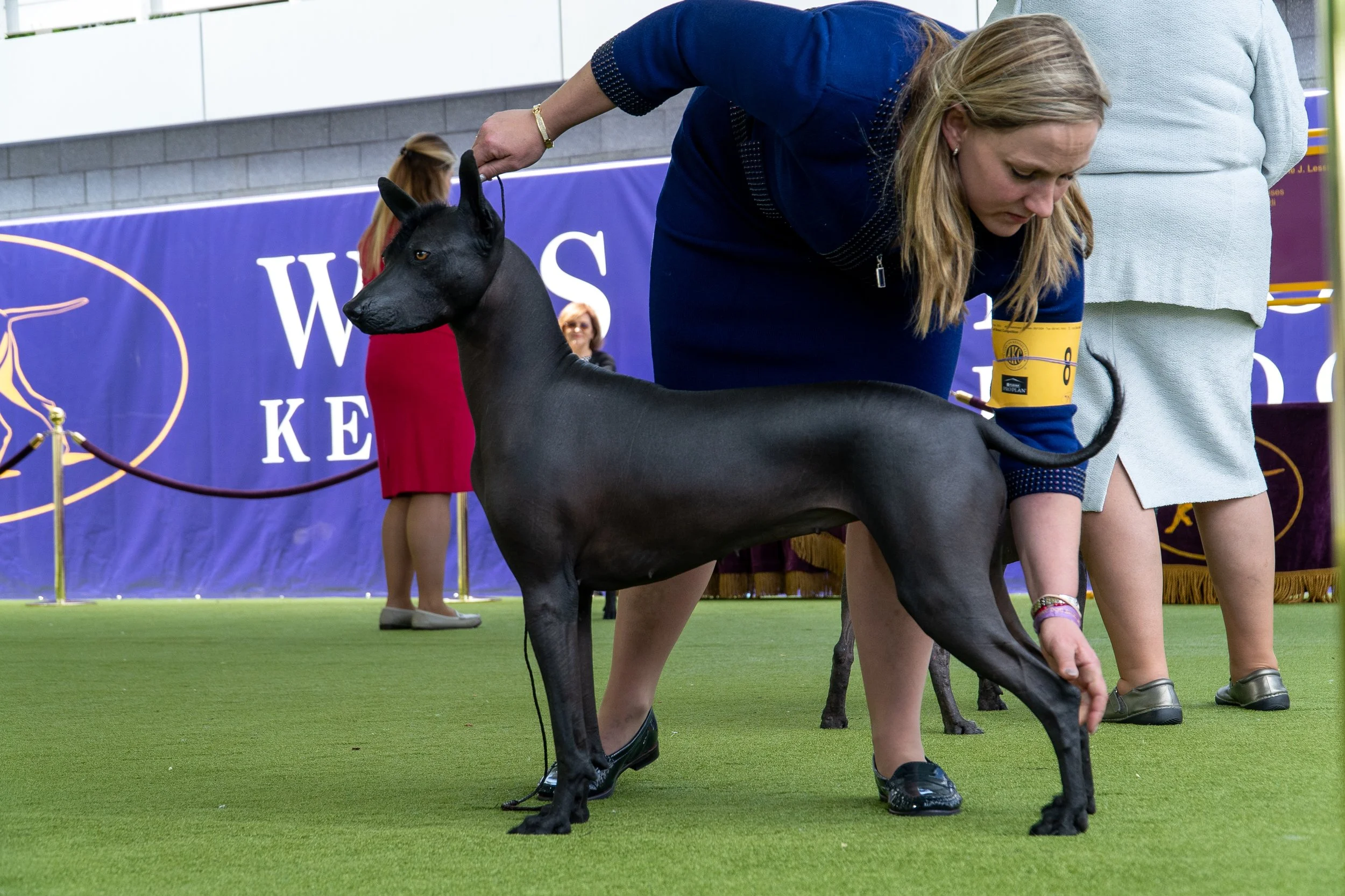 _AKC6713.jpg