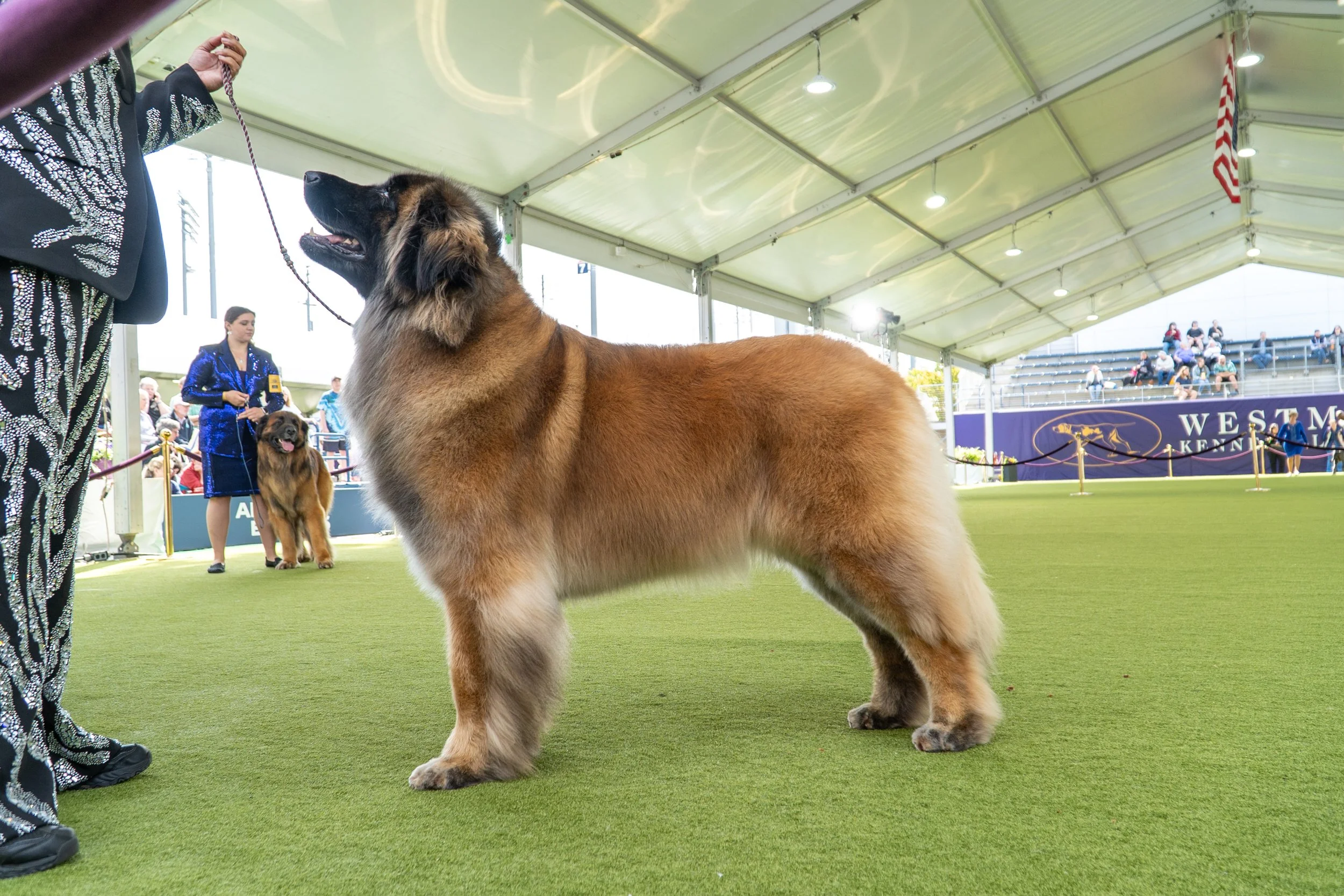 _AKC6871 copy.jpg