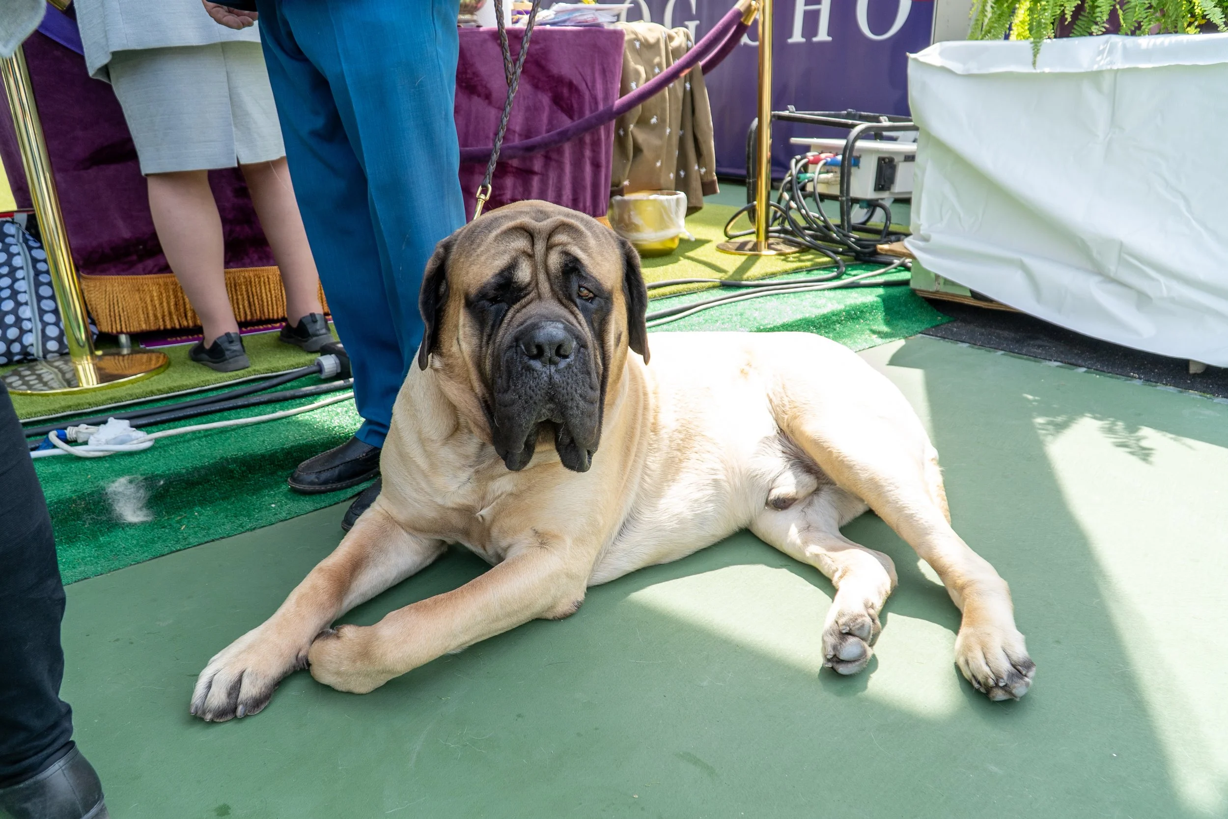 _AKC6884 copy.jpg