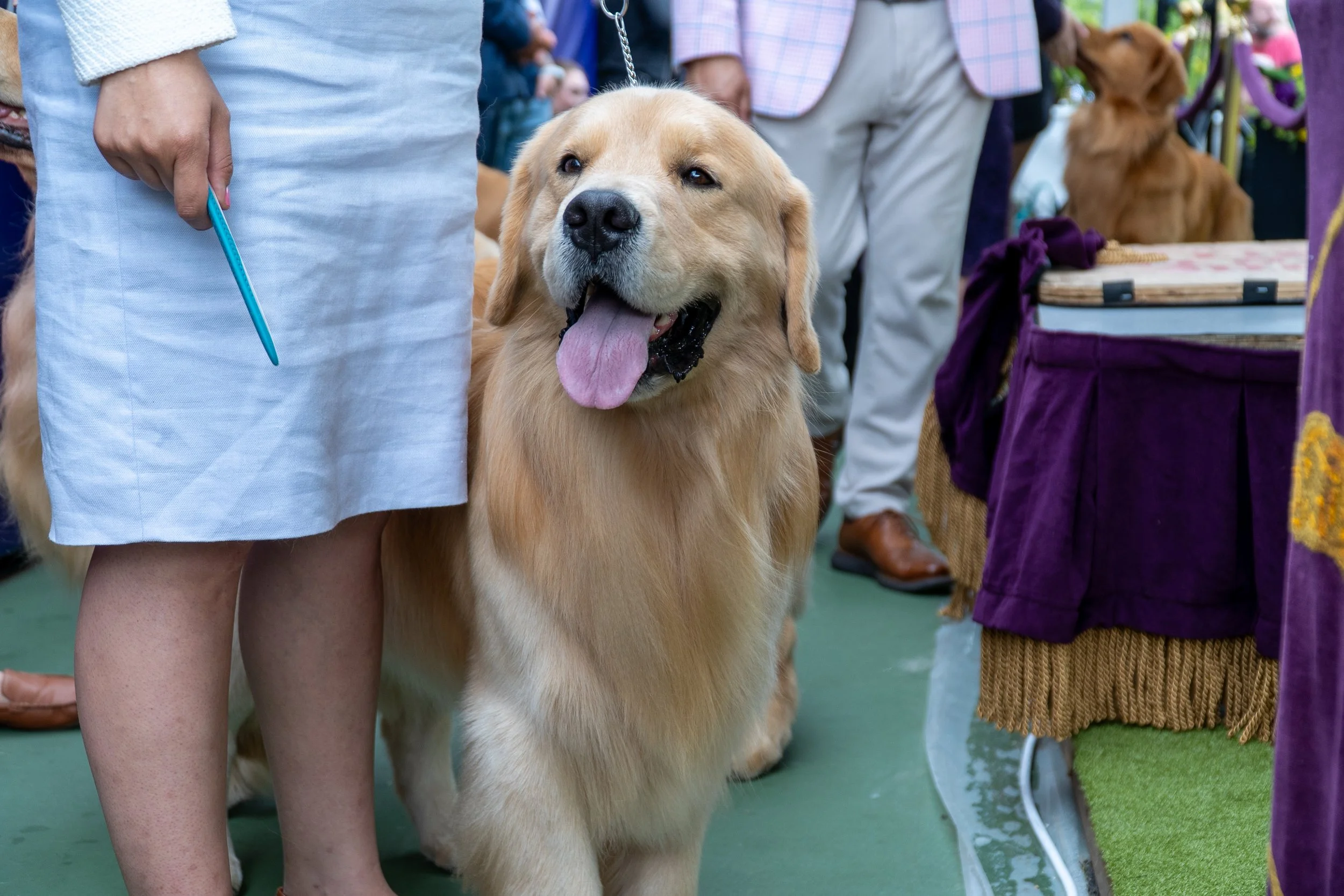 _AKC6961 copy.jpg