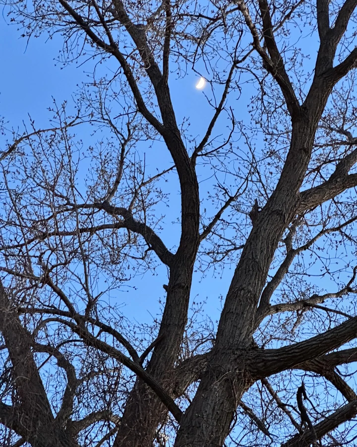 Moonlight 
Blue sky
What a glorious day 
Today
