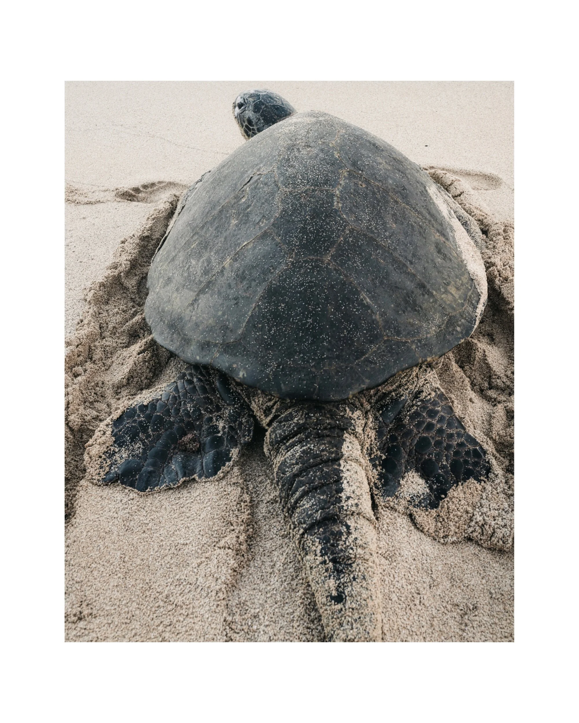 _DSC2094 Edited.jpeg