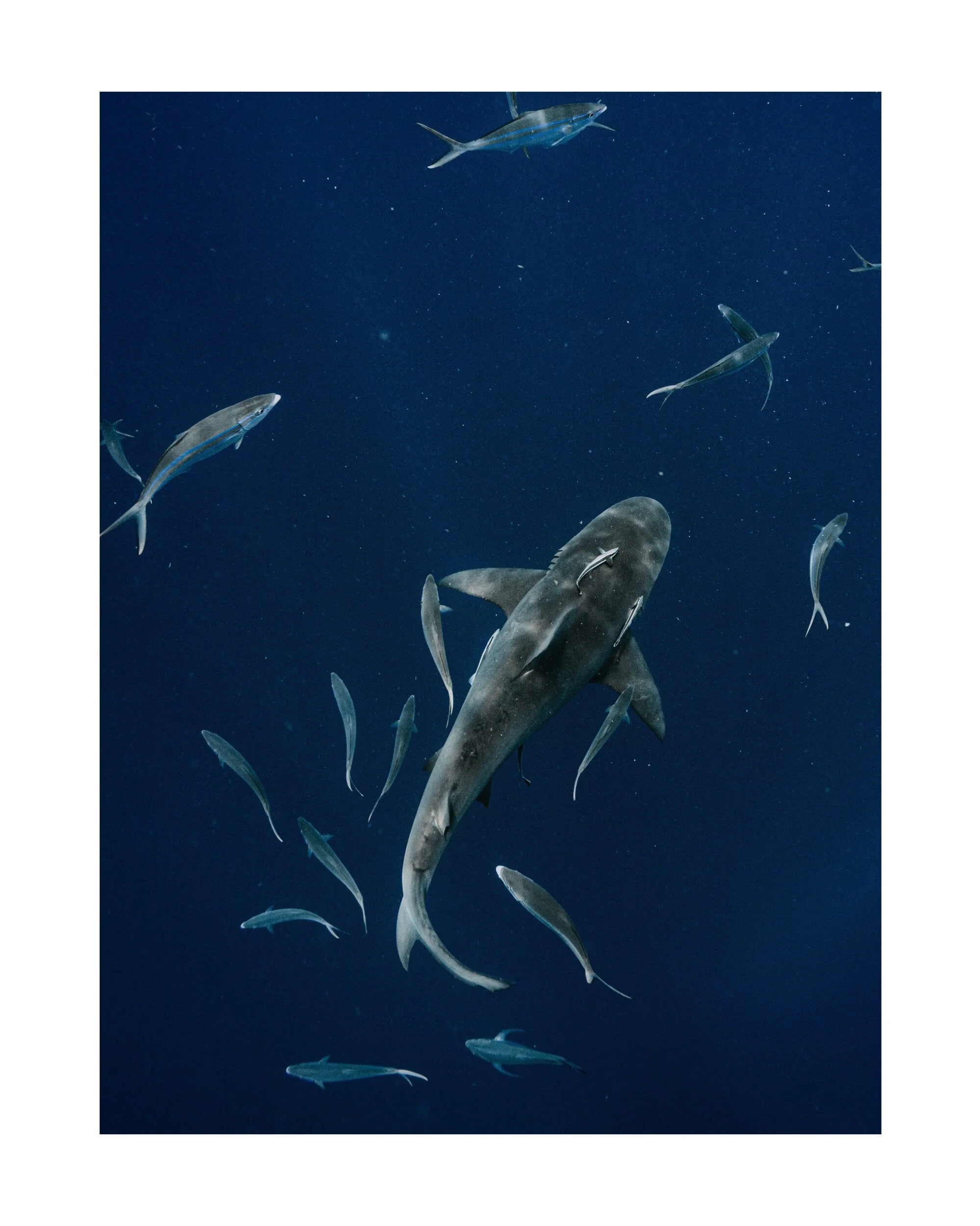 _DSC2662-2 Edited.jpeg