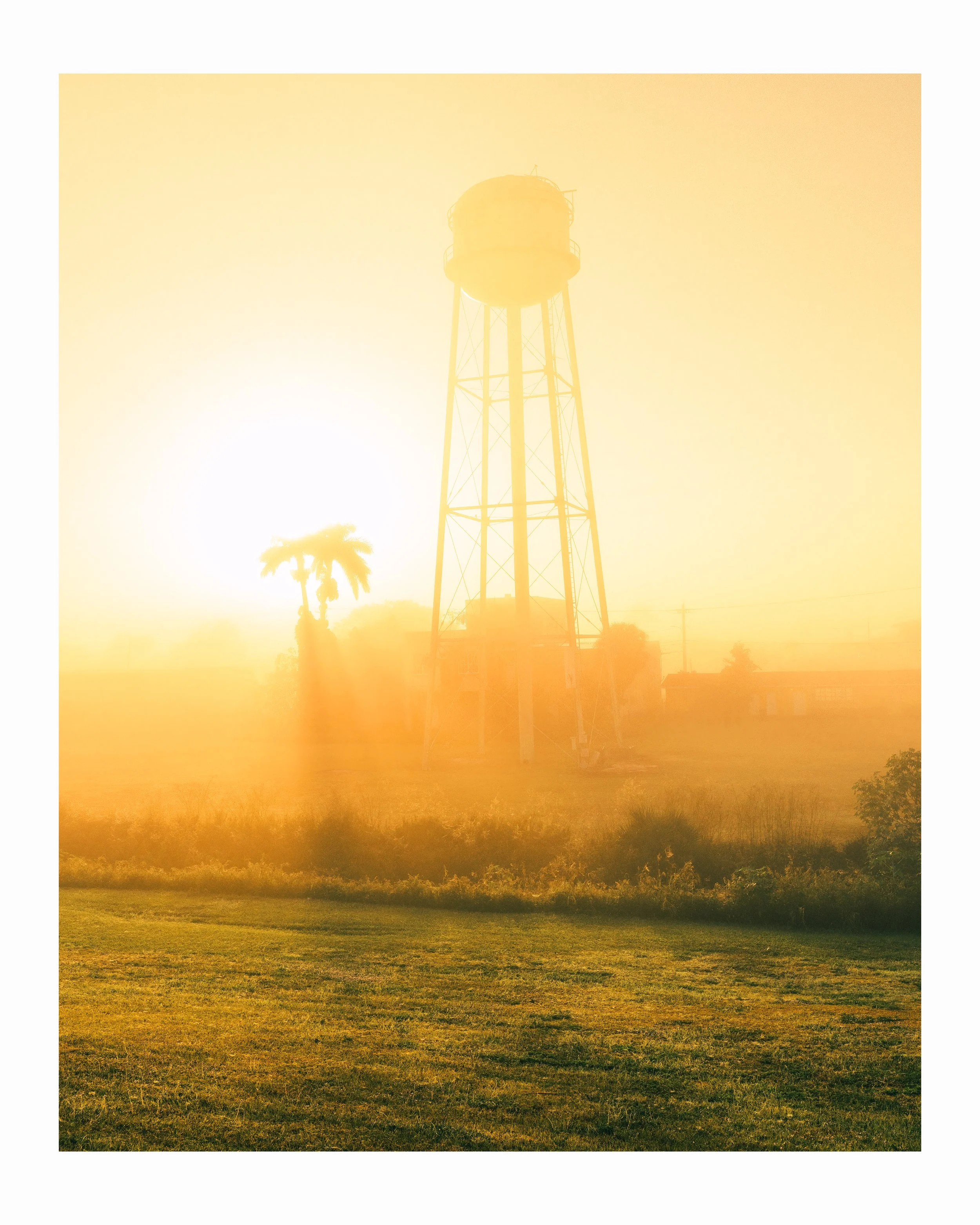 _DSC7761 water hole.jpg