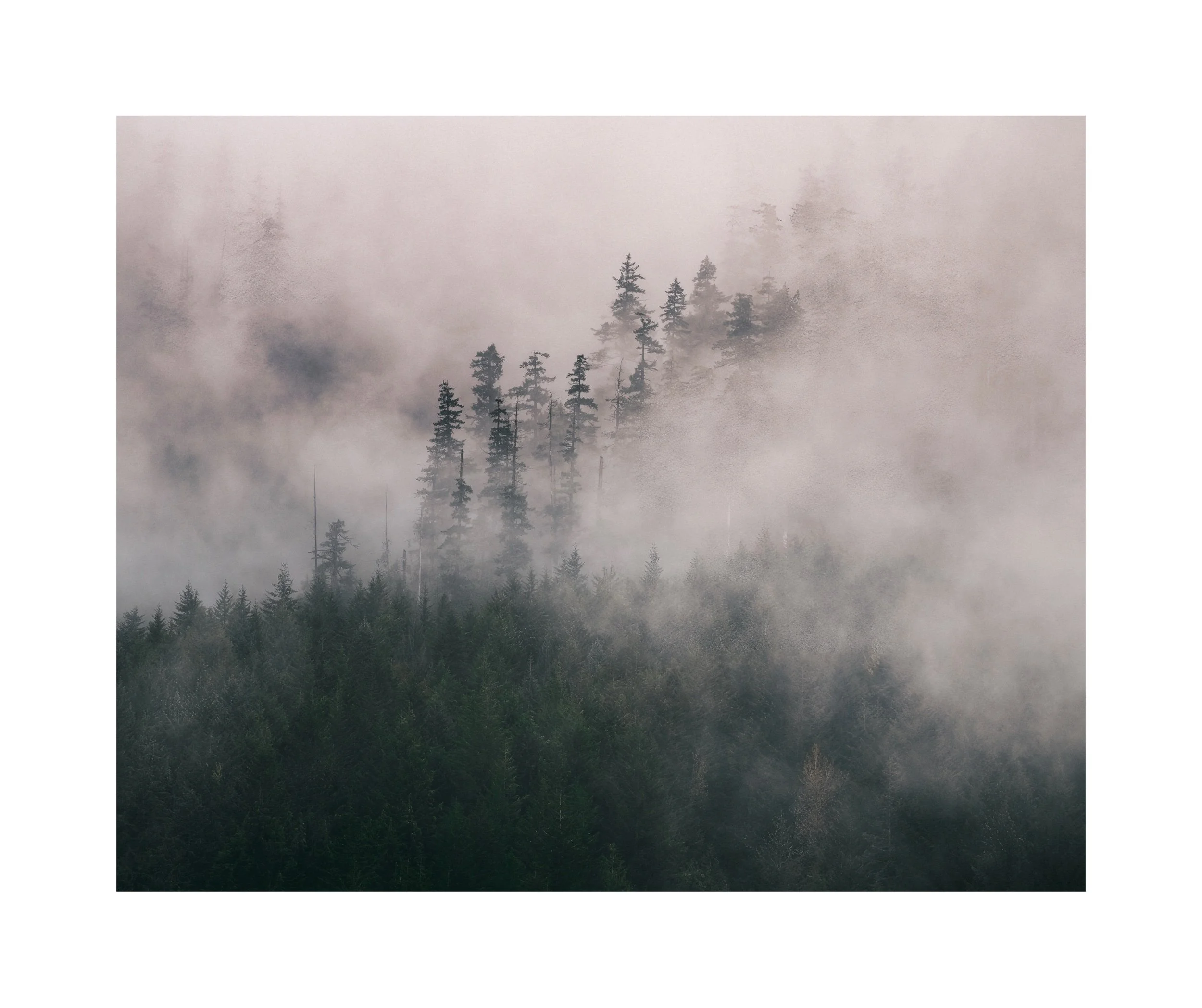 _DSC1436-Edit-Edit Edited.jpeg