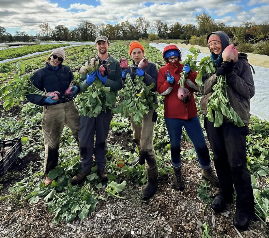 Screen Shot 2025-01-20 at 8.37.05 AM.png