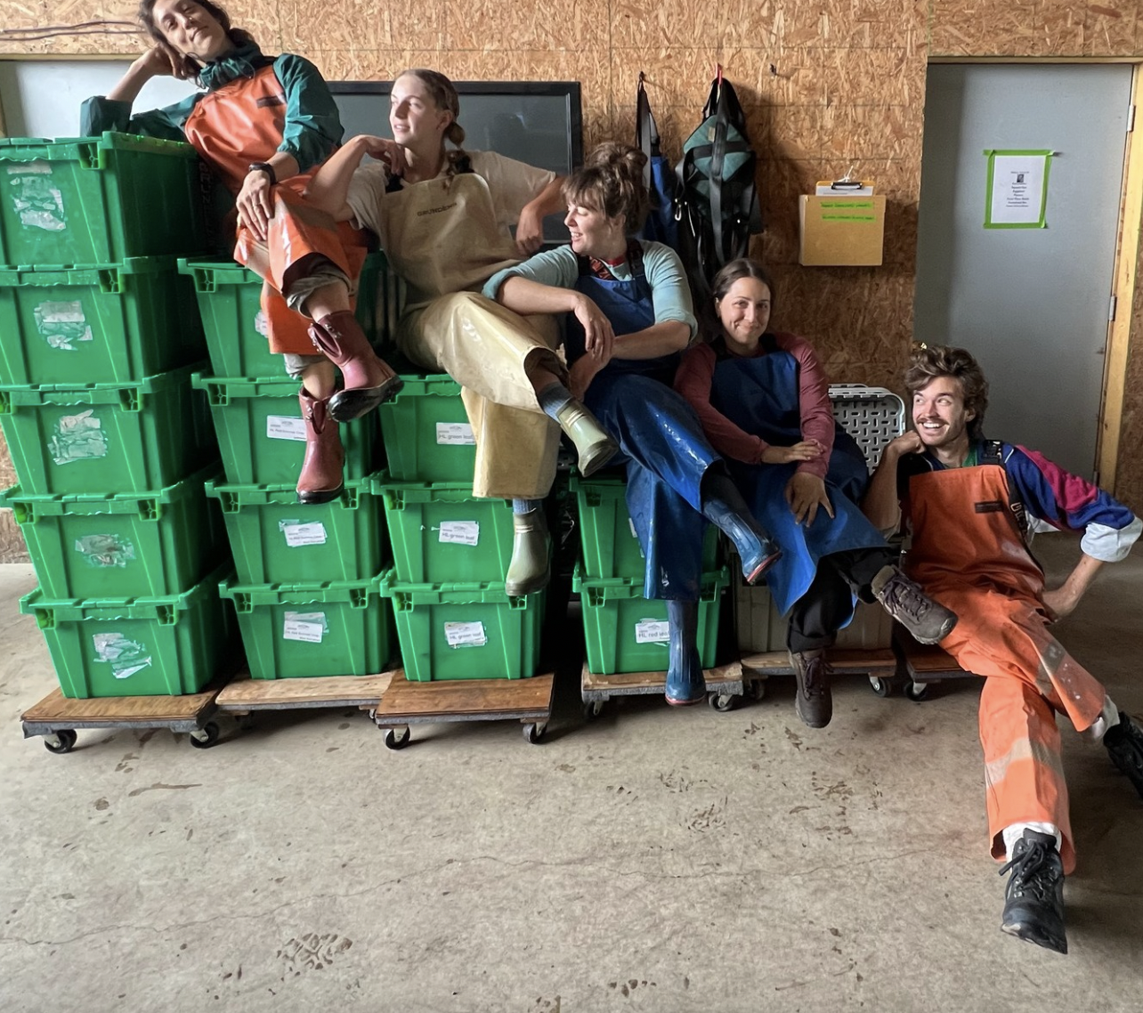 Screen Shot 2025-01-20 at 8.45.29 AM.png