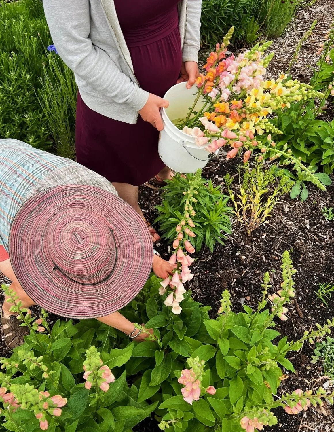 Screenshot 2025-10-28 at 4.28.54 PM.jpeg