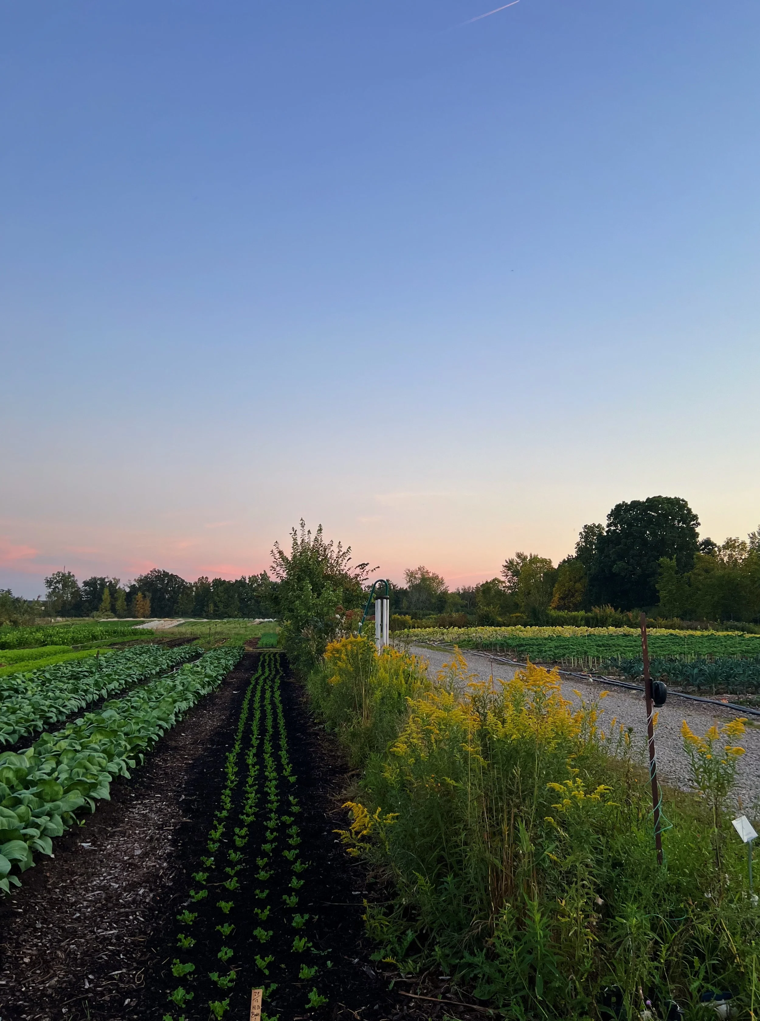 Supporter Share 2026 (Available until Dec. 19th)