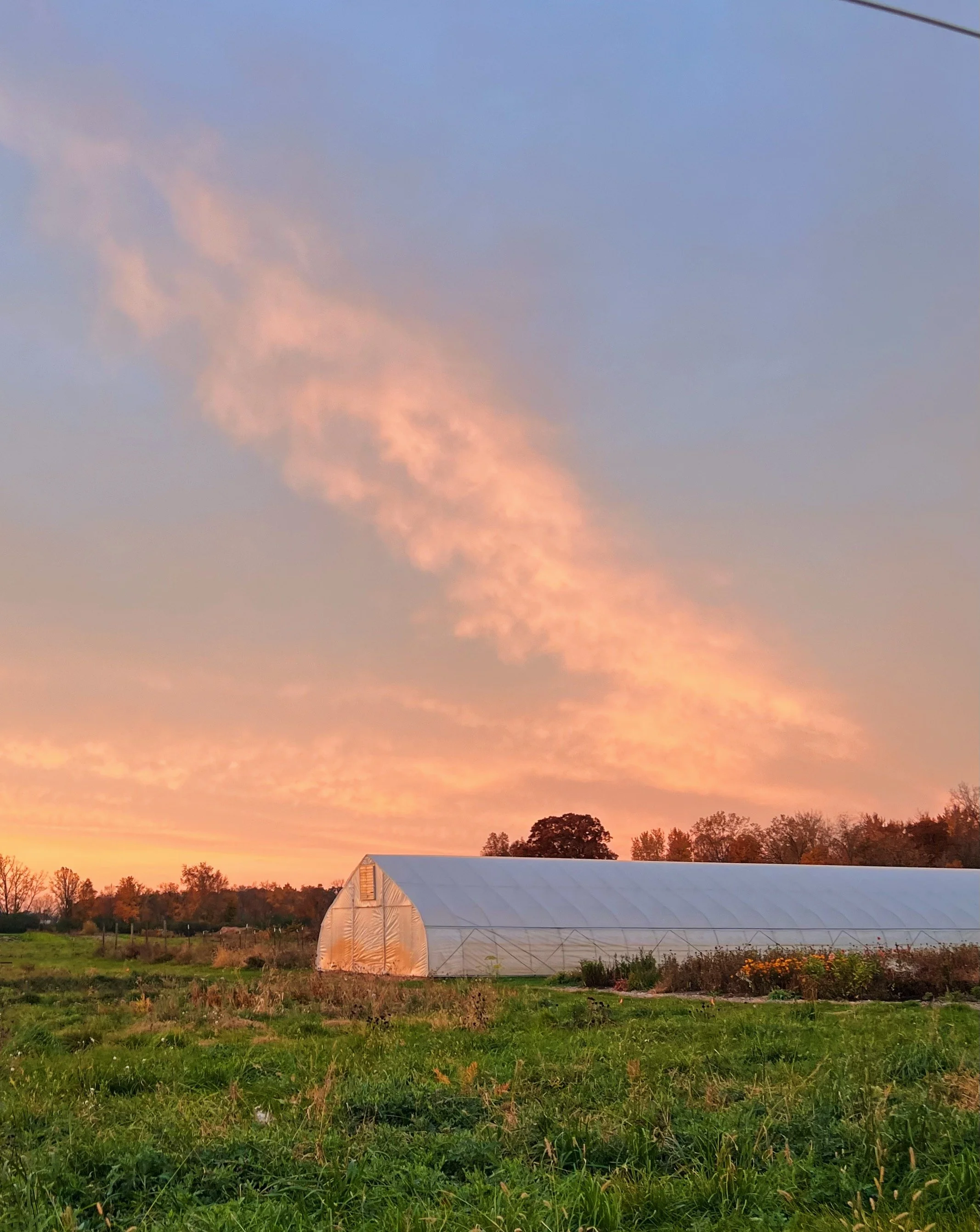 GTFC Membership Gift Certificate