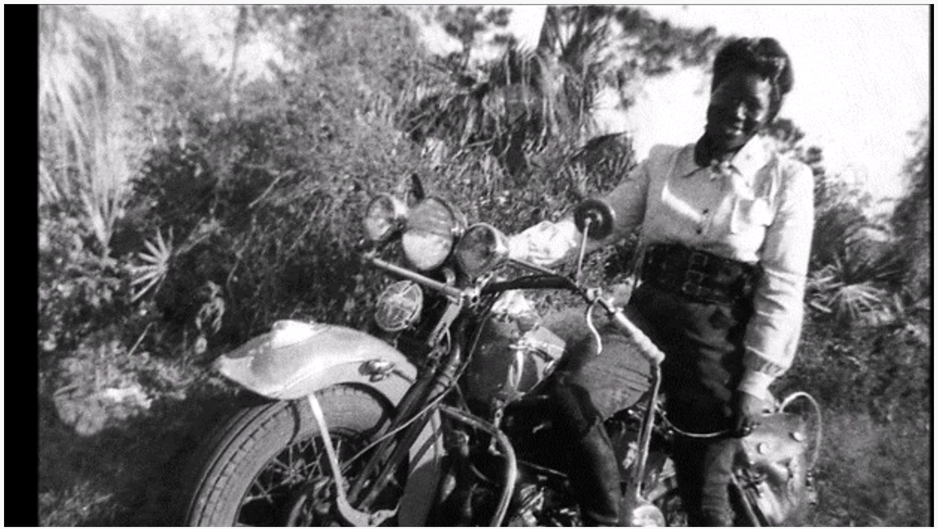 Ride the Wind