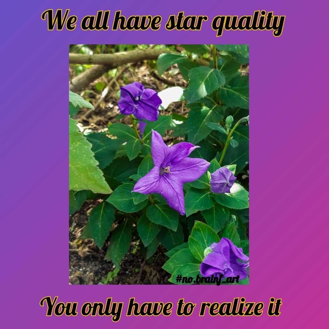 Affirmation of the day: &quot;I am born to be a star&quot;. 

Some of us are born to be a star, at least that's what we're told. Many situations in our lives are the result of our thoughts. If you believe very strongly that you are a star then you ar