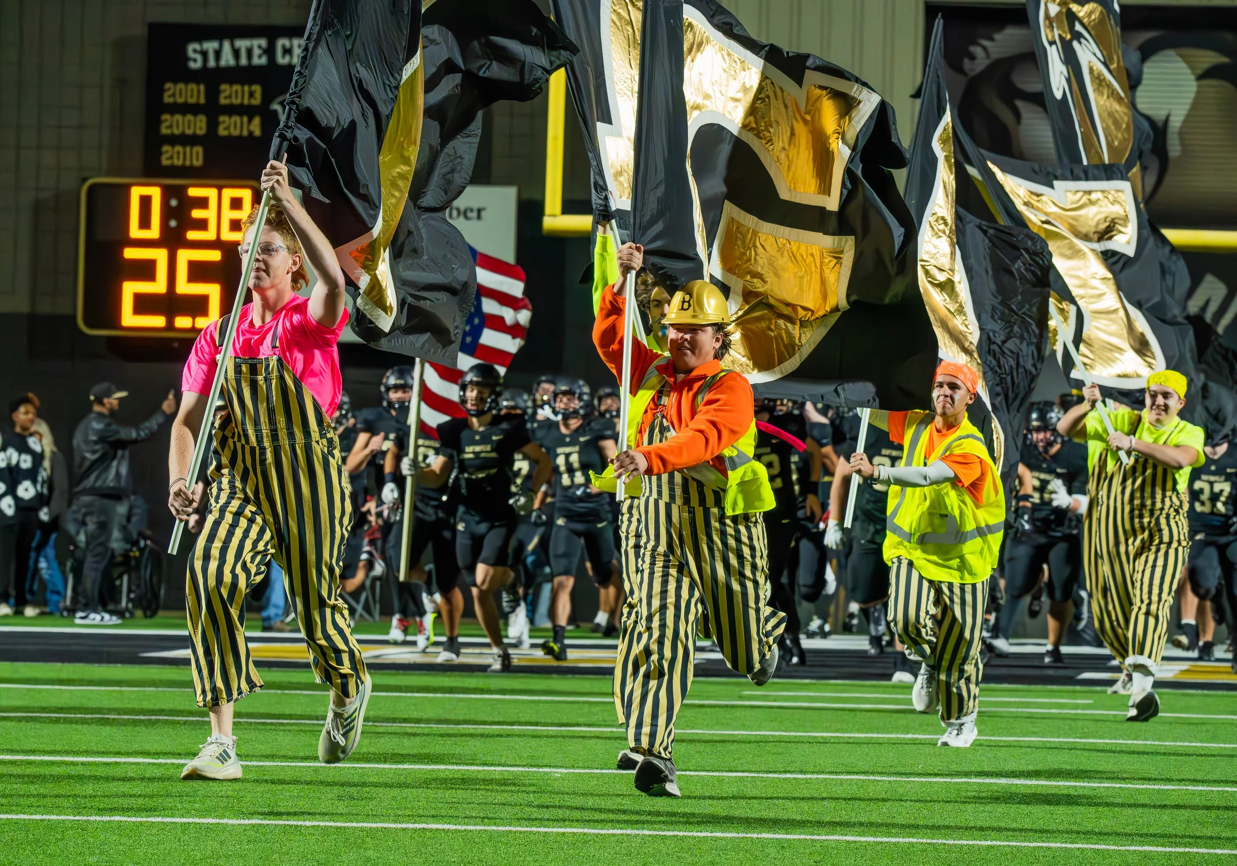 Tigers vs. Bulldogs.jpg