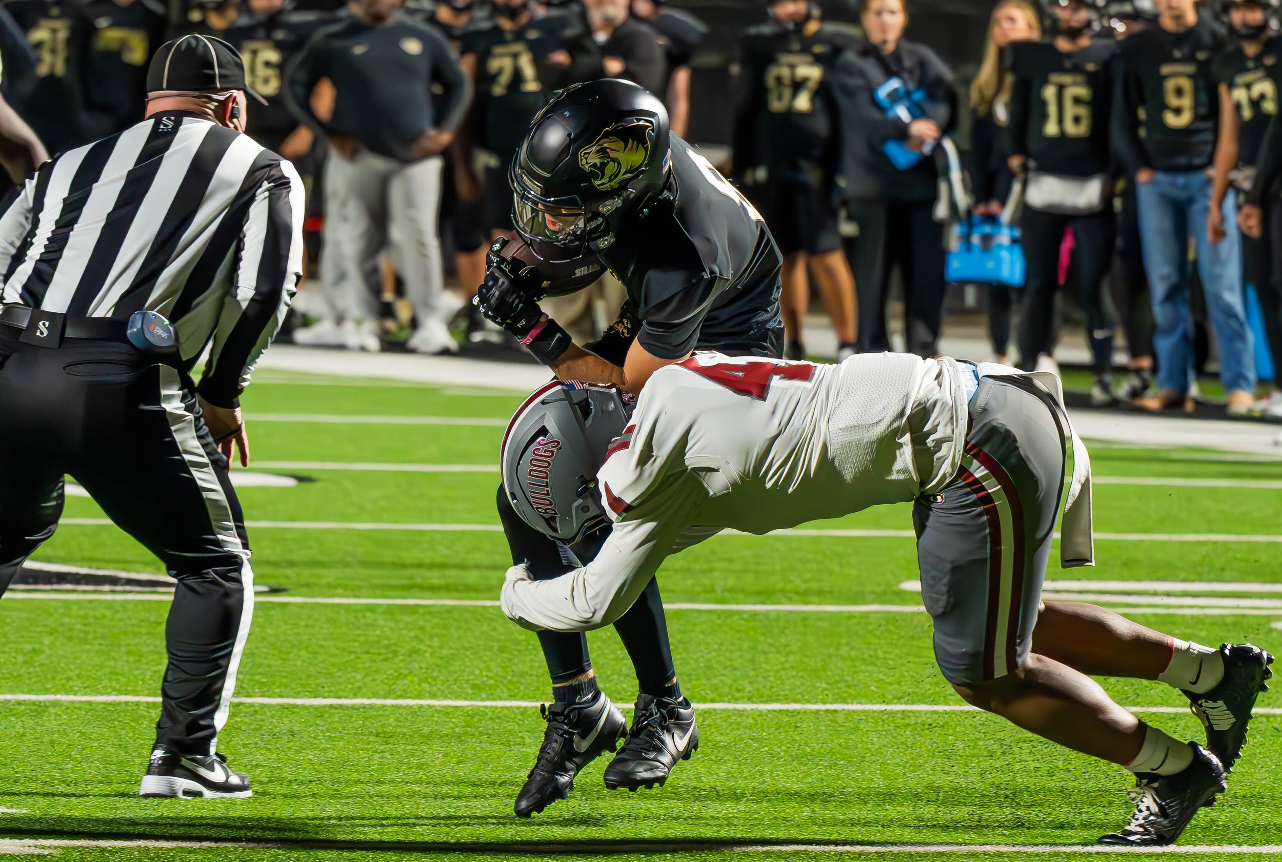 Tigers vs. Bulldogs-5.jpg