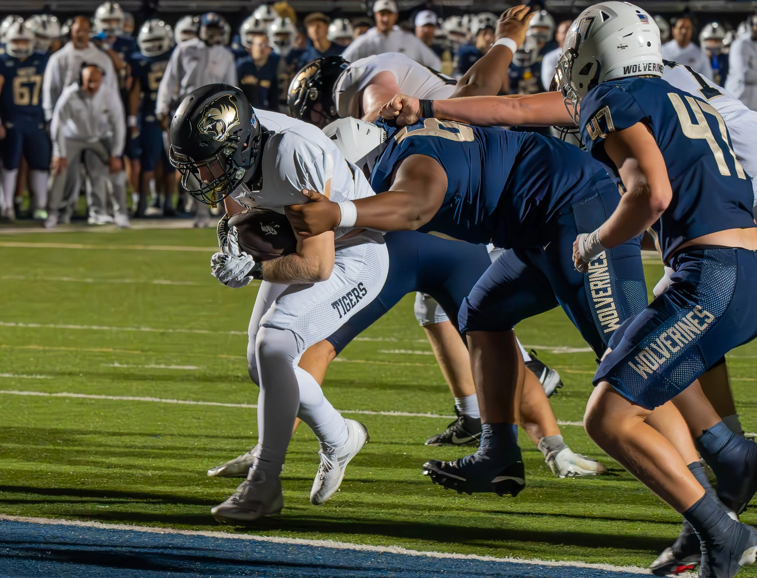 Tigers-Wolverines-34.jpg