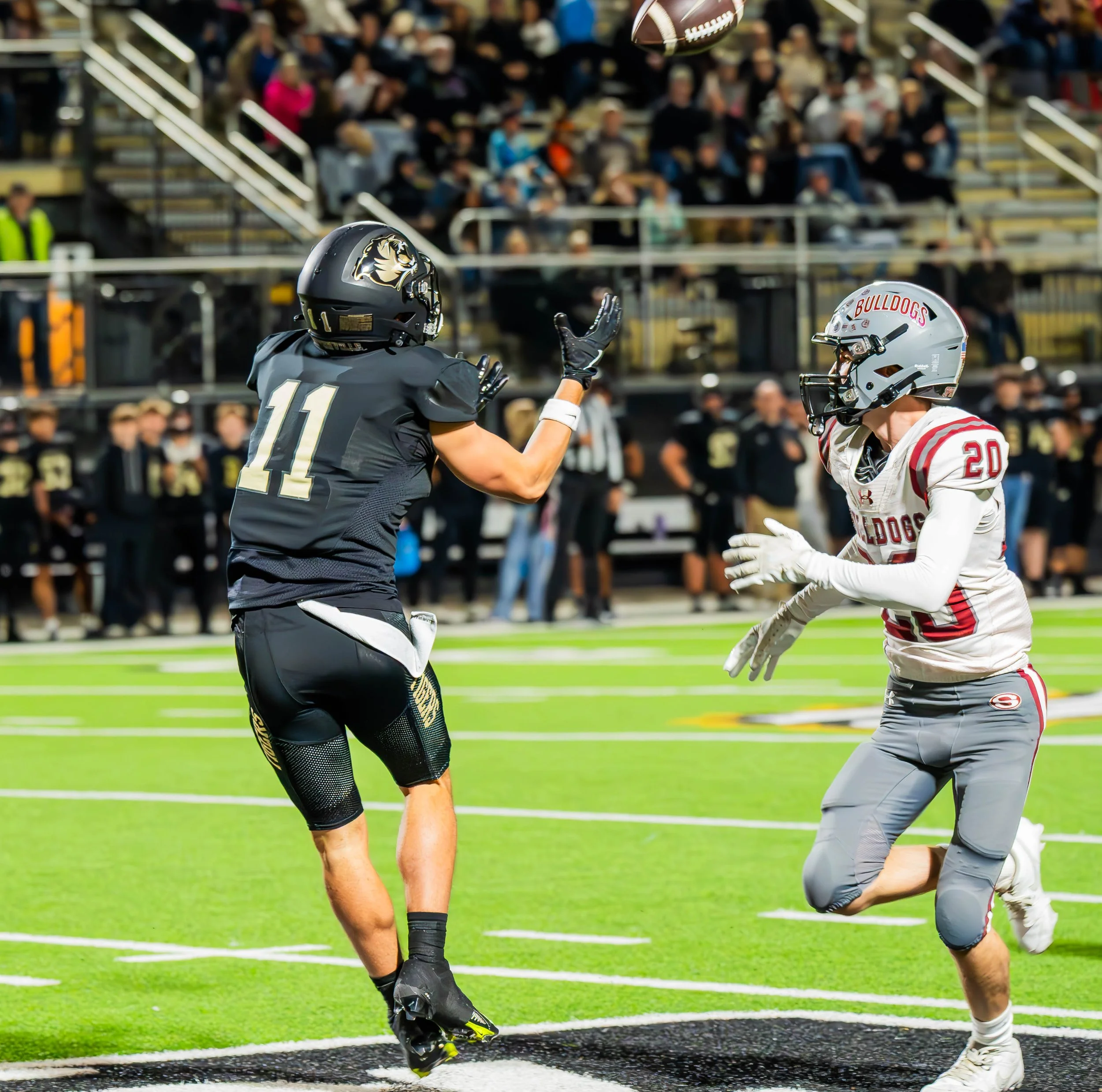 Tigers vs. Bulldogs-16.jpg