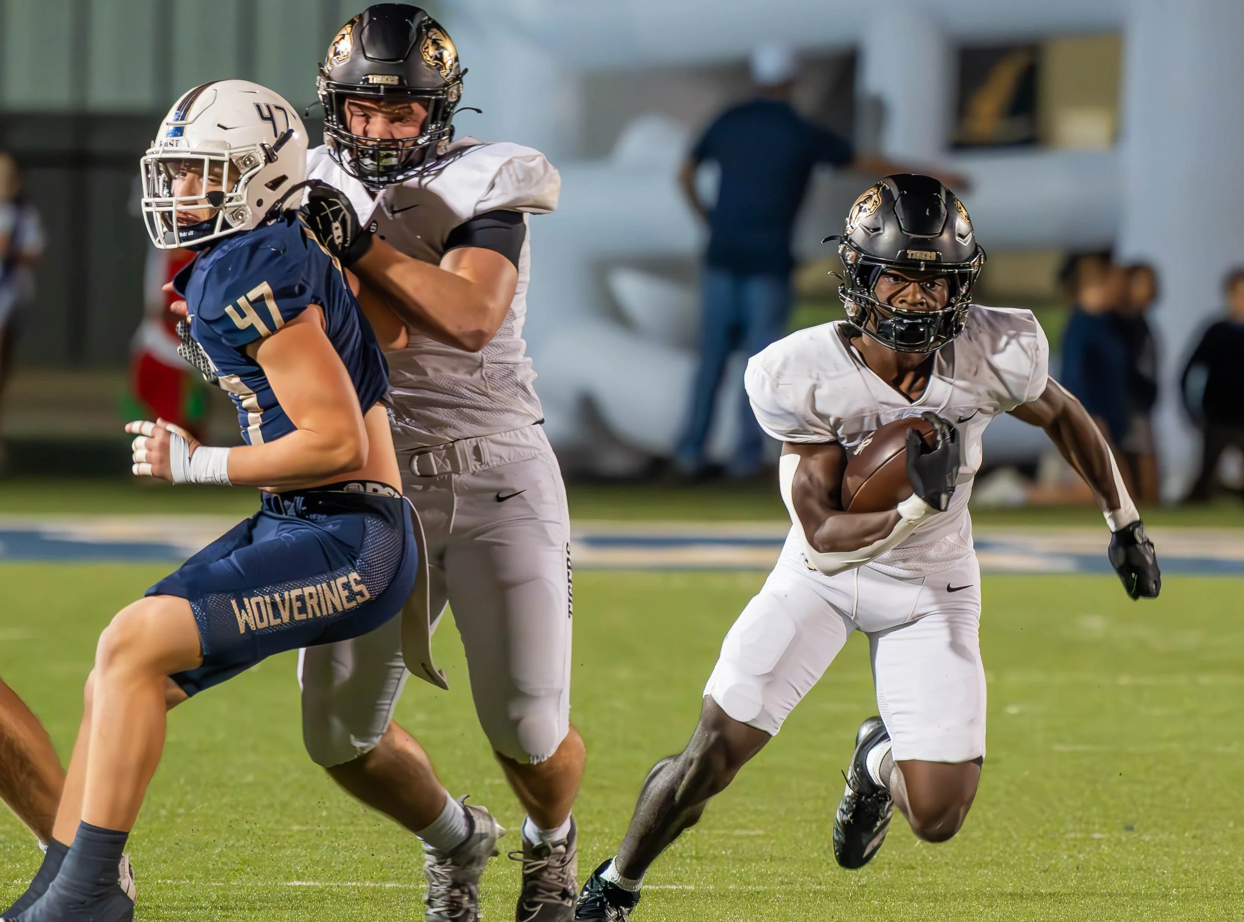 Tigers-Wolverines-13.jpg